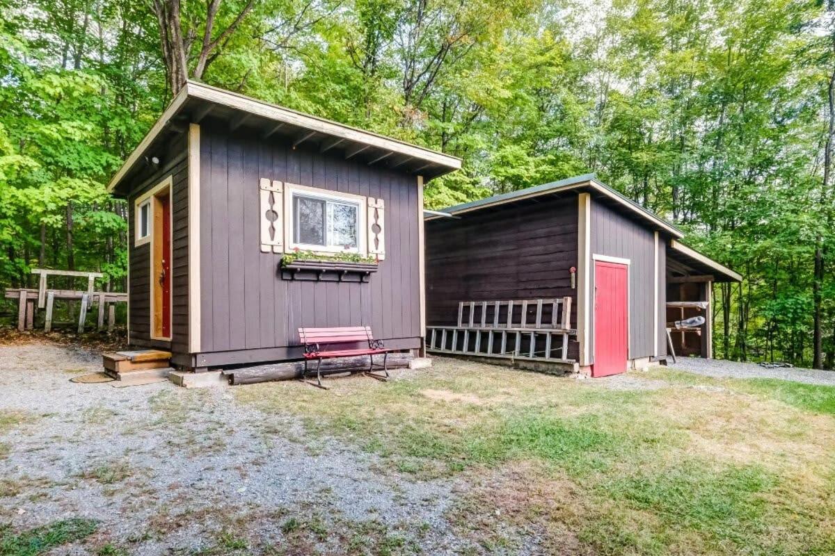 Sunset Cove Waterfront nature retreat with bunkie