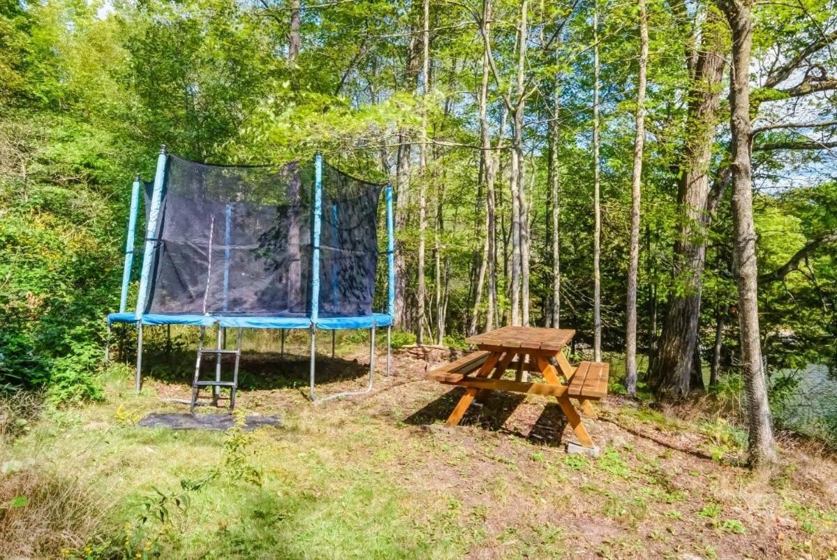 Sunset Cove Waterfront nature retreat with bunkie