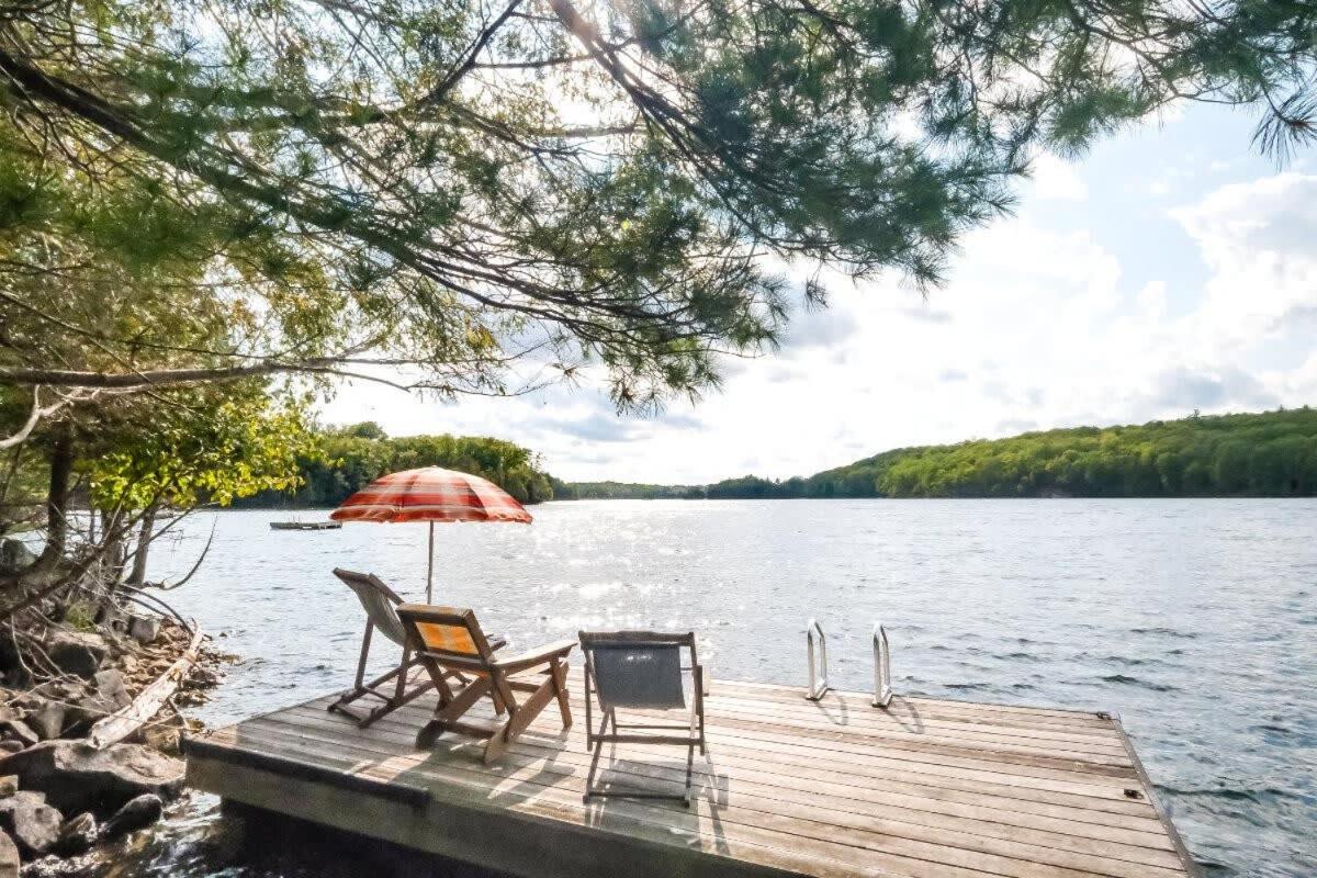 Sunset Cove Waterfront nature retreat with bunkie