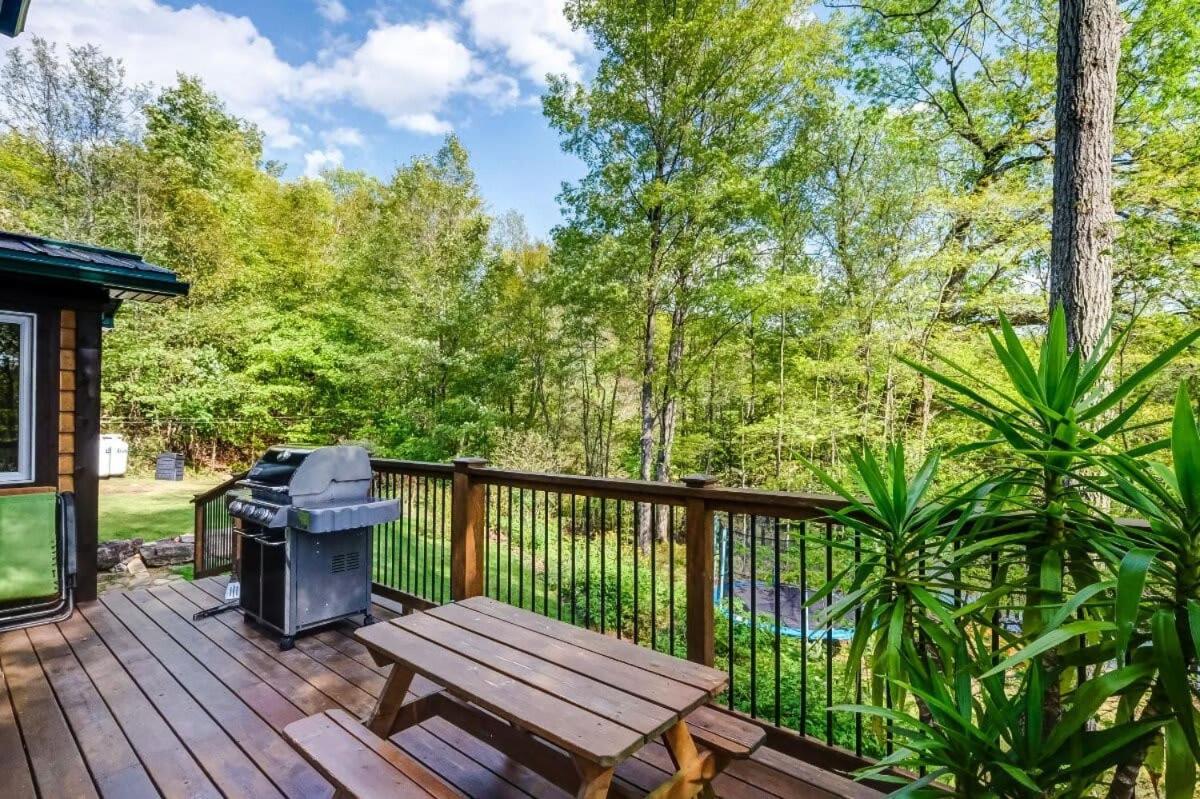 Sunset Cove Waterfront nature retreat with bunkie
