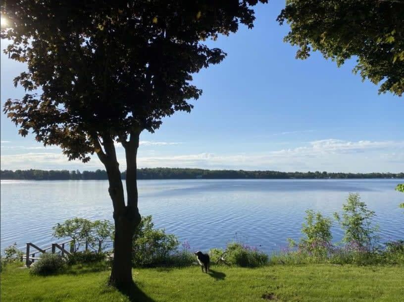 Cozy family waterfront retreat recently renovated