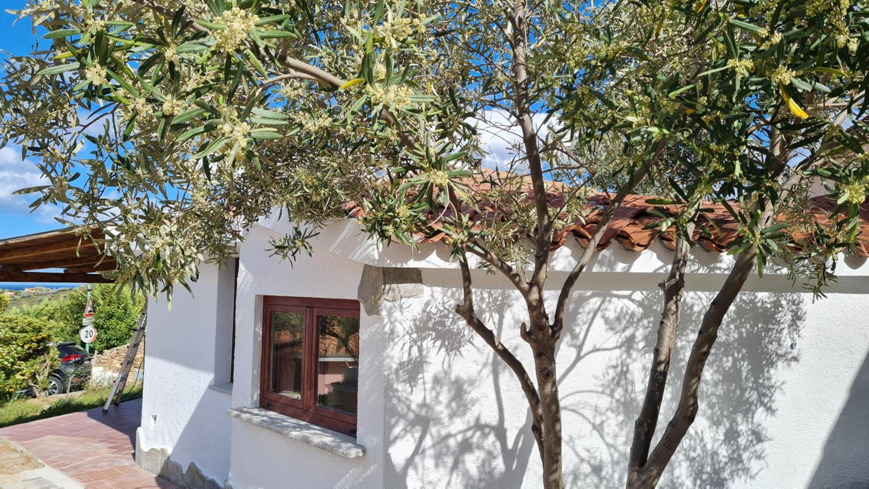 Villa Sa Mama