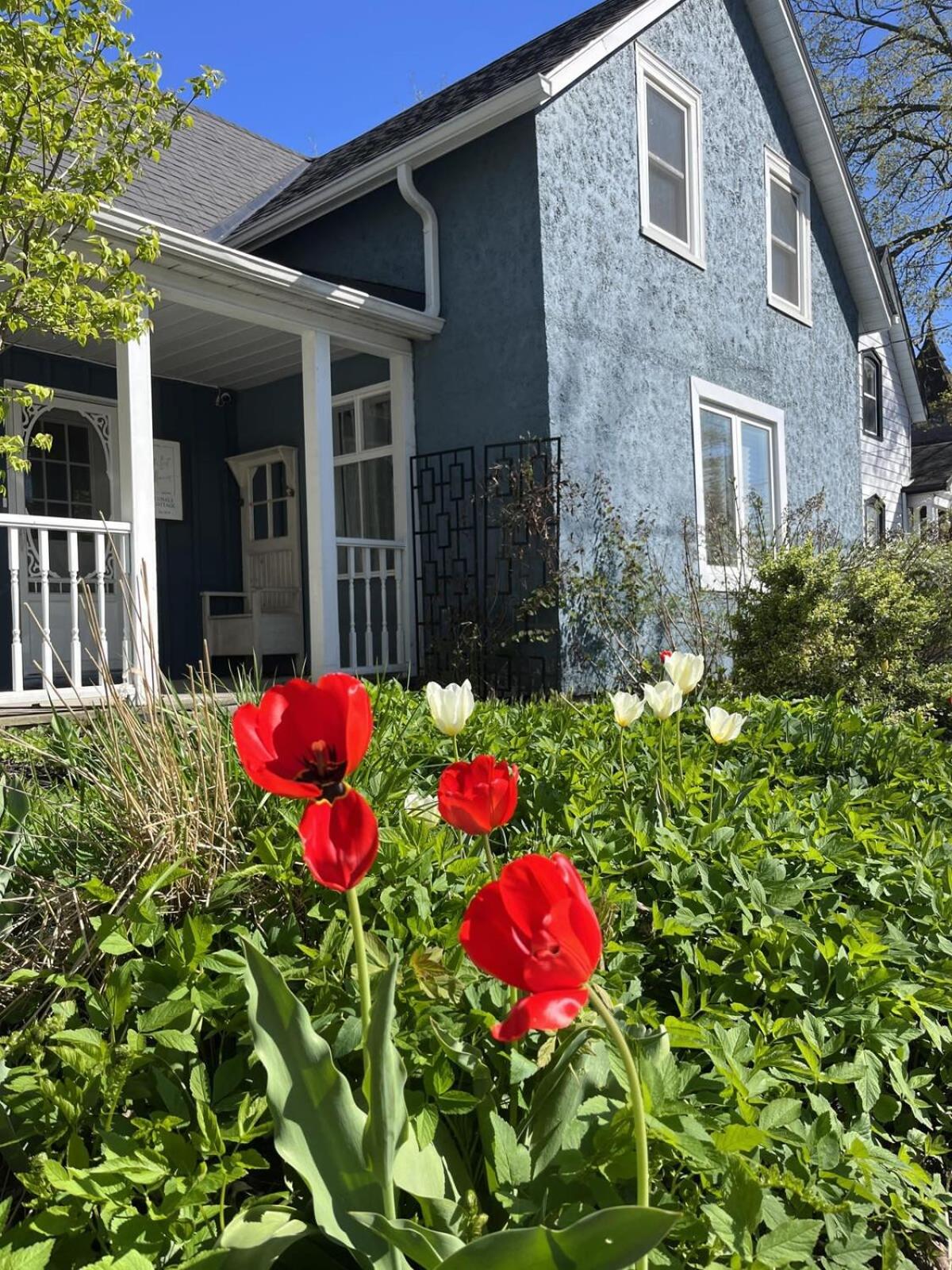 Cobalt Cottage: Picton House with Sandbanks Pass