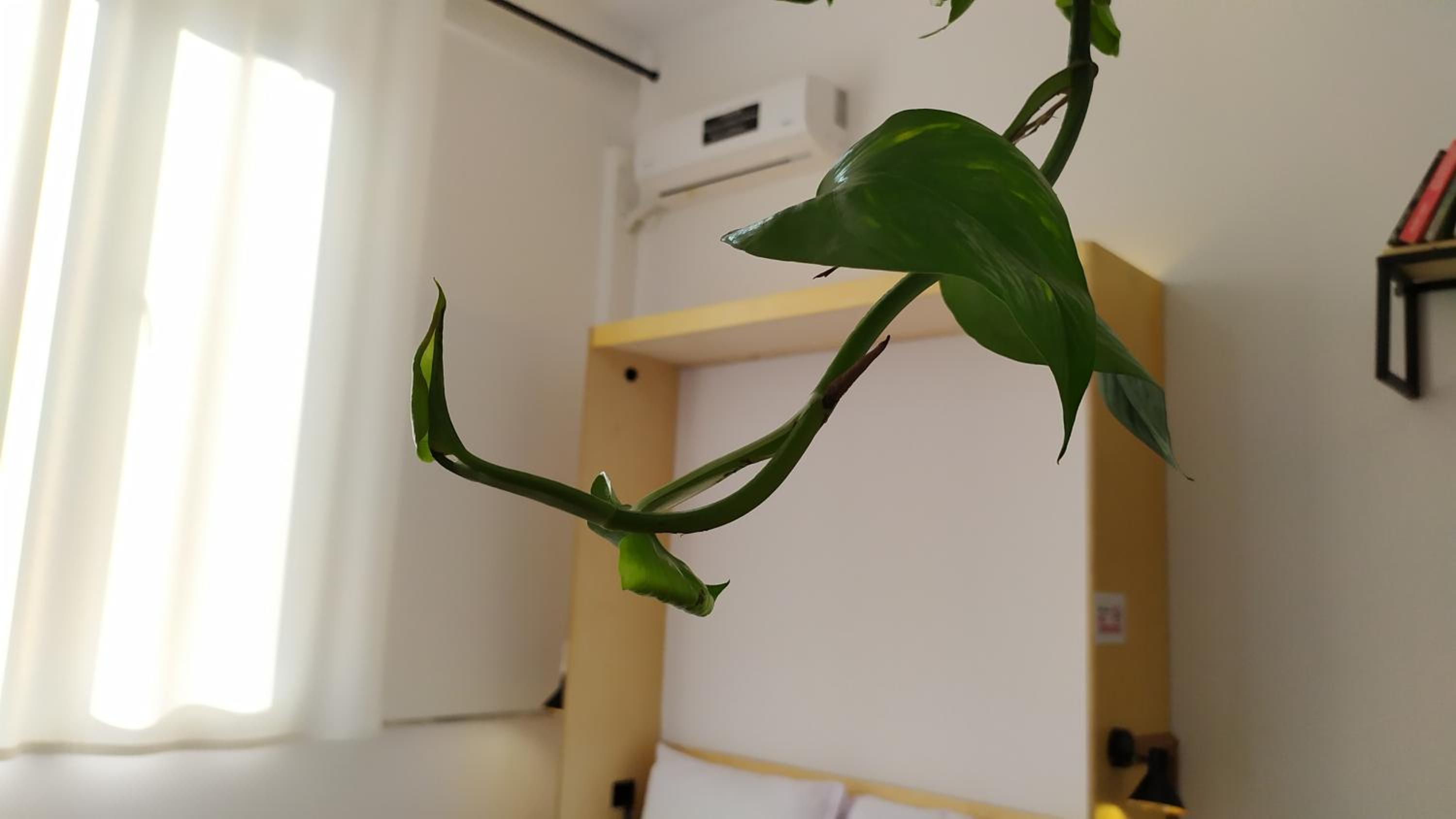 Beautiful modern studio in Bllok