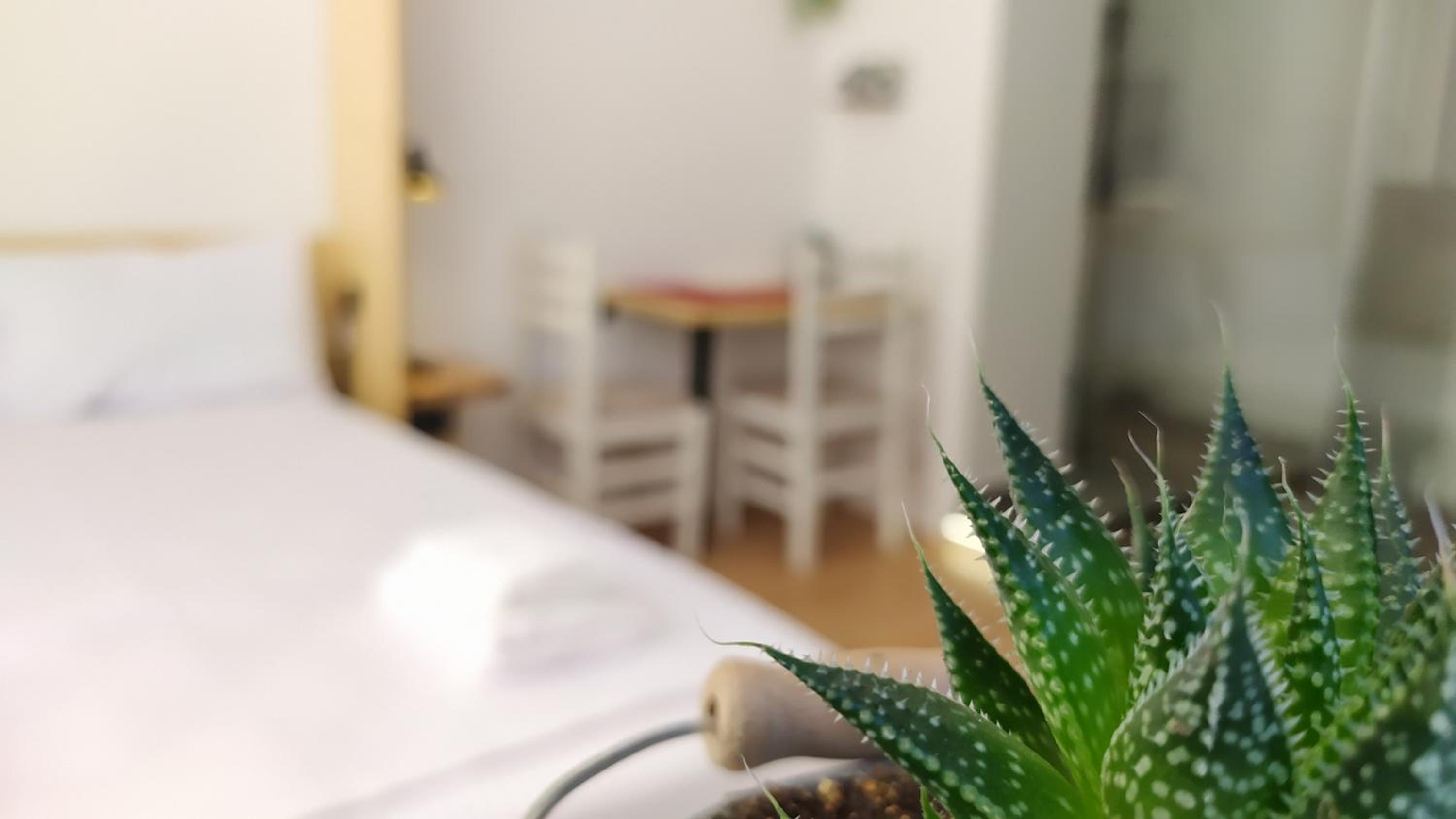 Beautiful modern studio in Bllok
