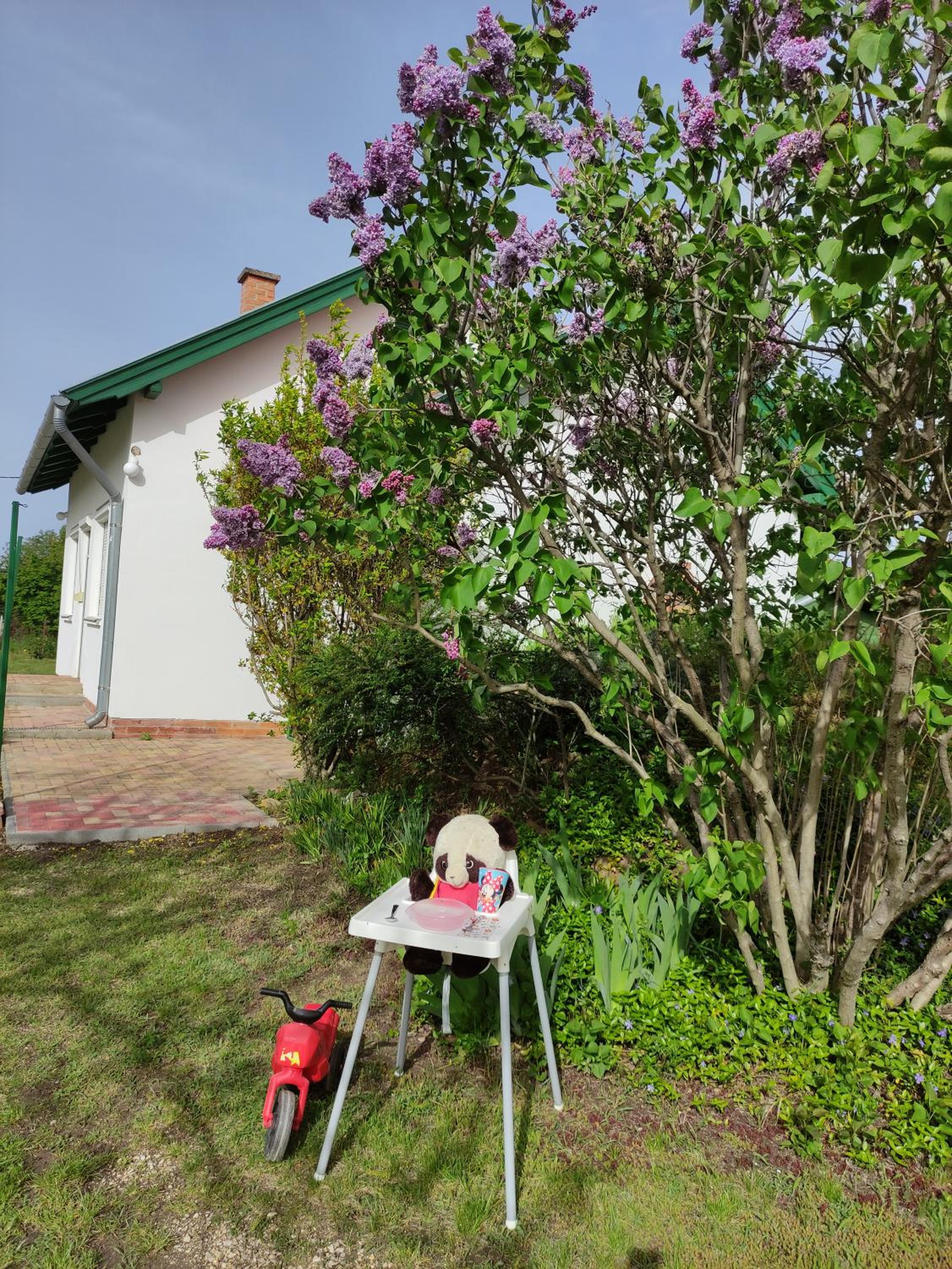 Szőlőhegyi házikó - Cottage in the vineyard view 3
