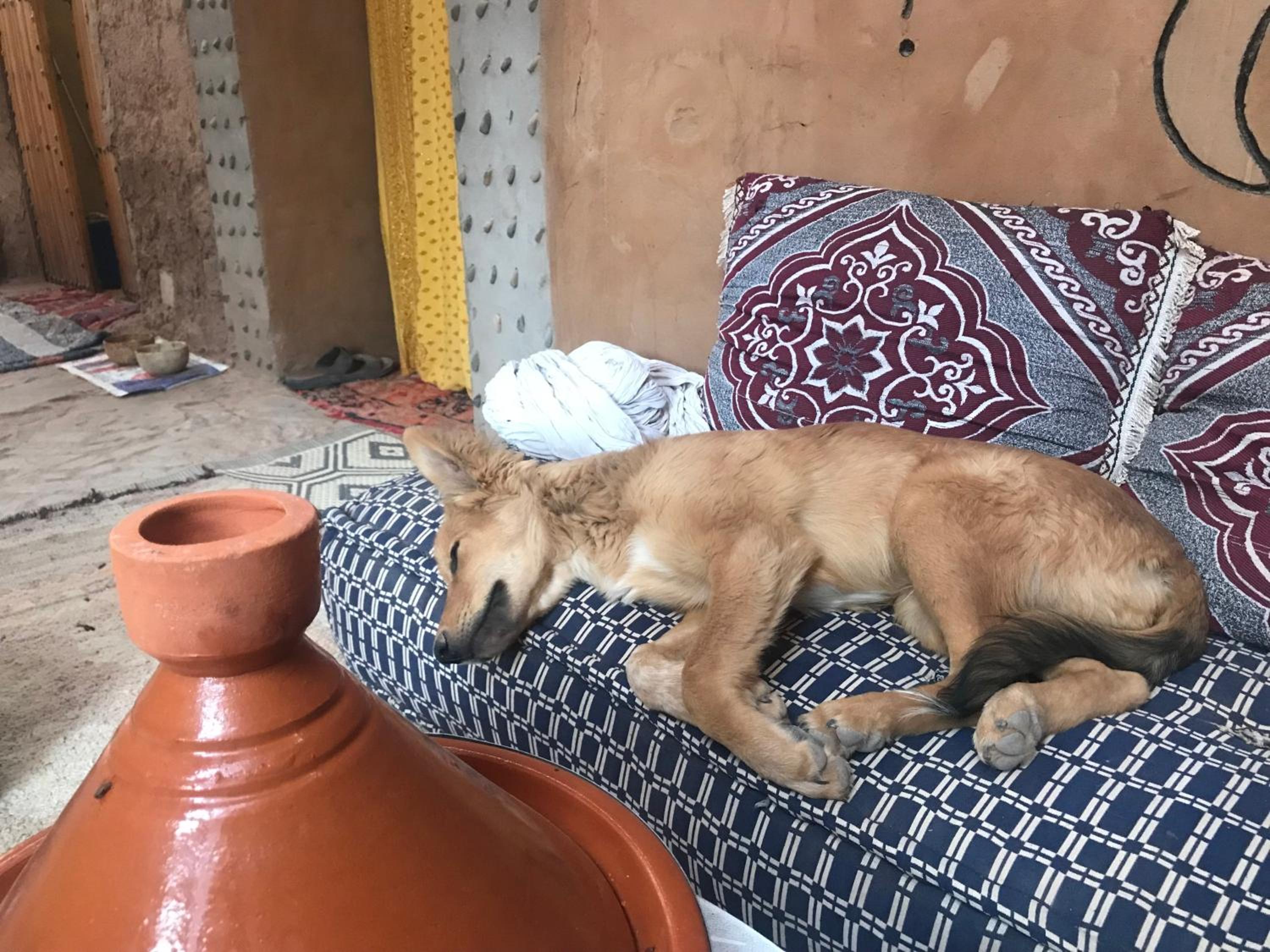 Kasbah Mashallah
