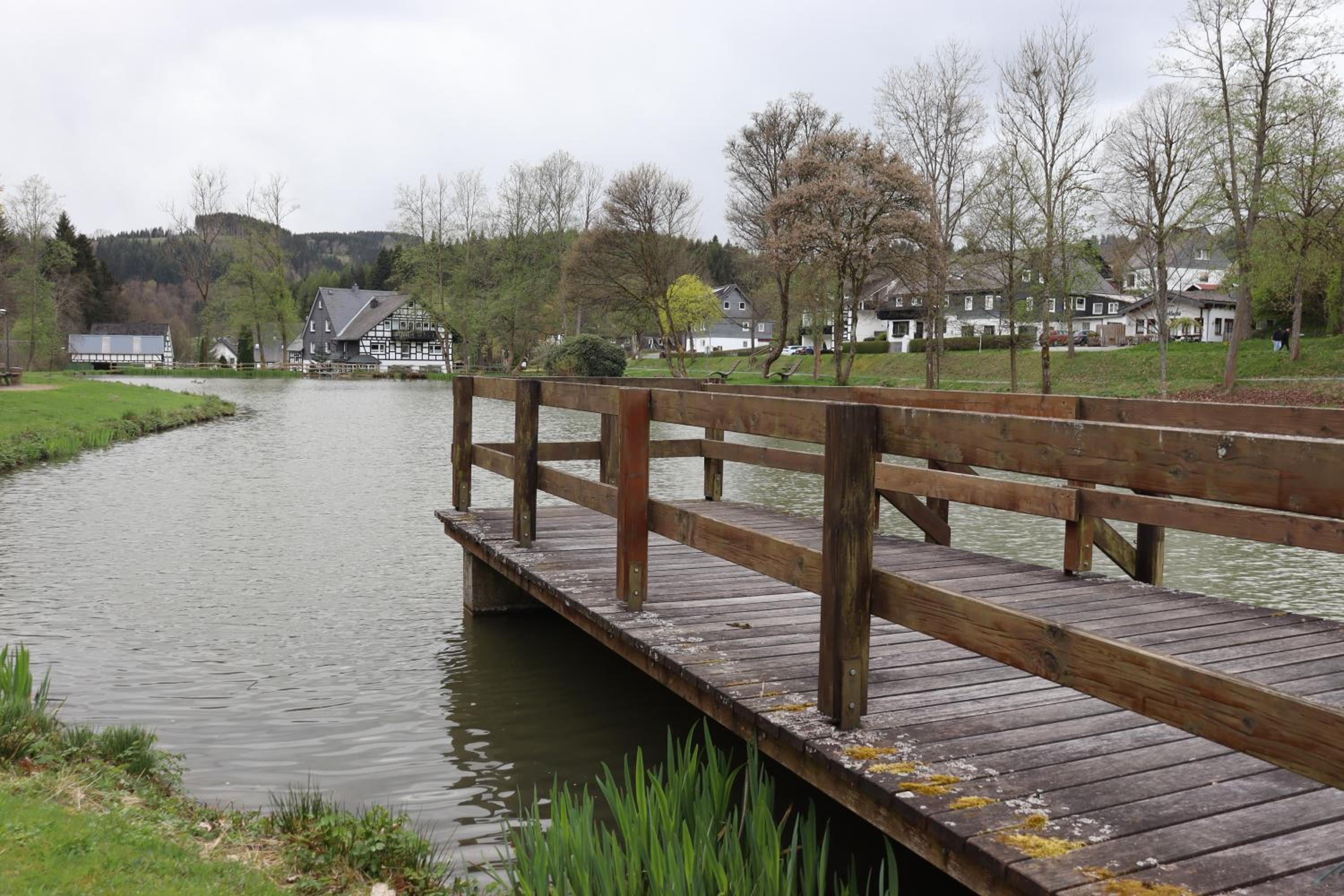 Direkt am See Winterberg Elkeringhausen