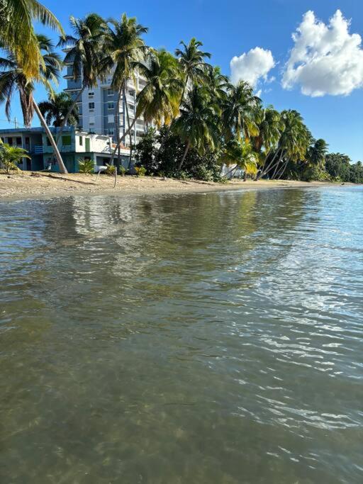Boho Retreat Beach Pool Central AC Generator