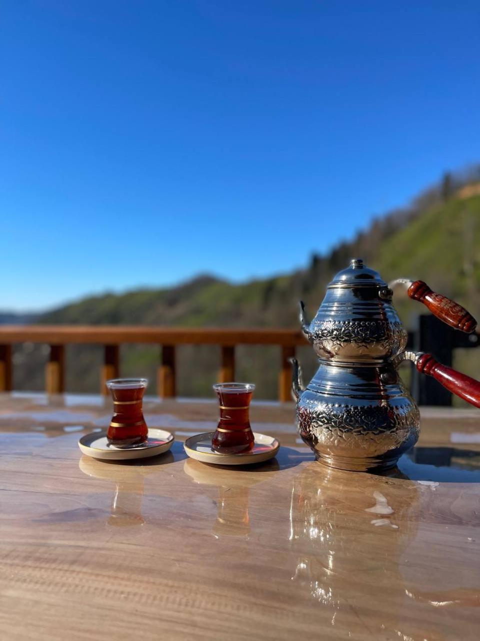 VAESS Villa Dağ Evleri, fotografía 4