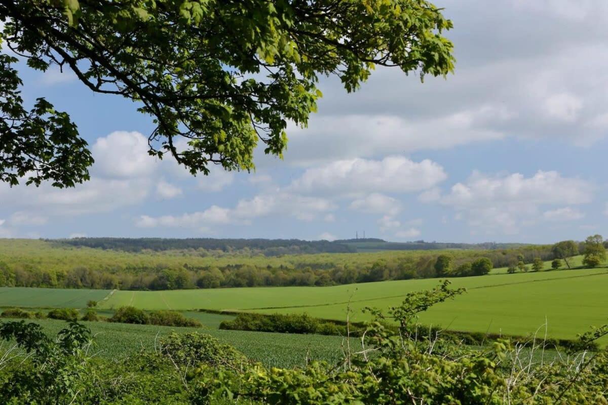 Stunning Cottage in South Downs National Park view 2