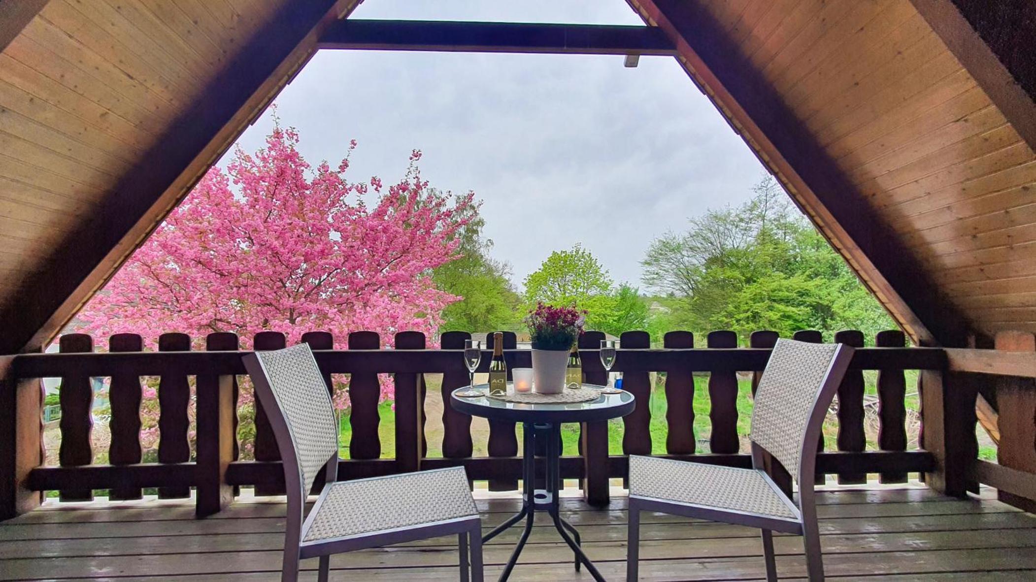 Sakura House Celle - Property Image 32