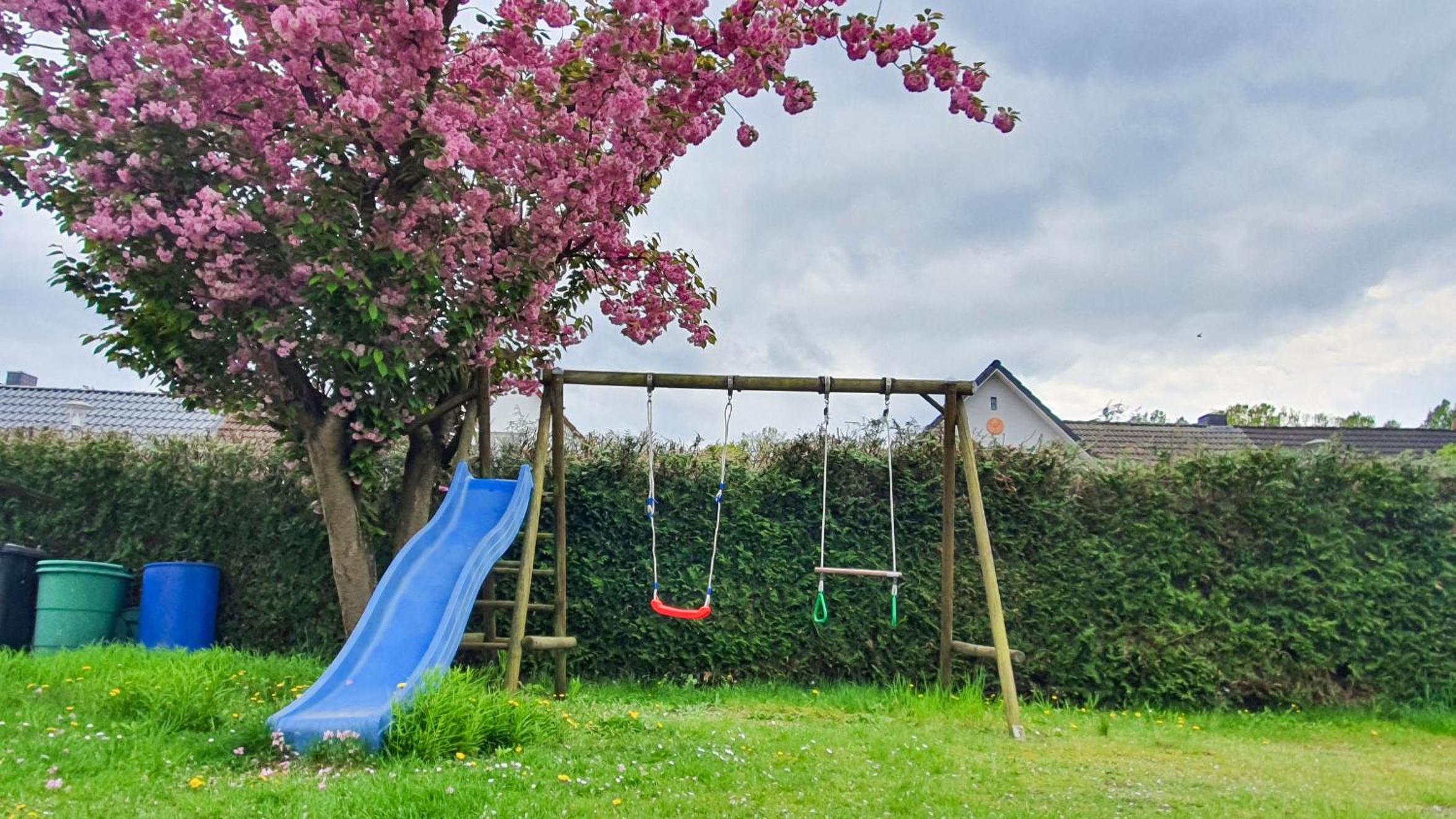 Sakura House Celle - Property Image 33