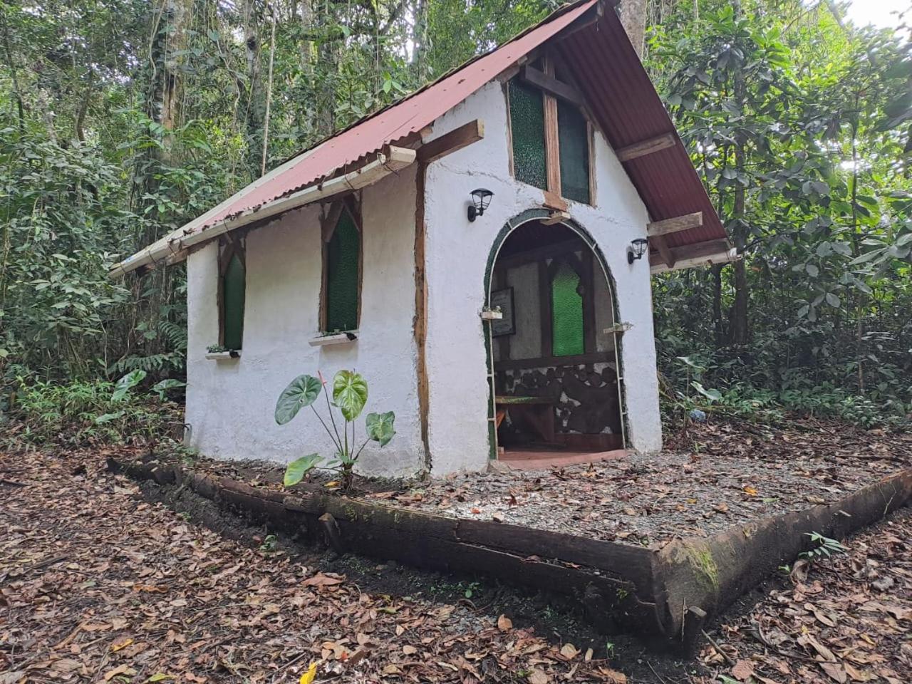 Bosque de Oro
