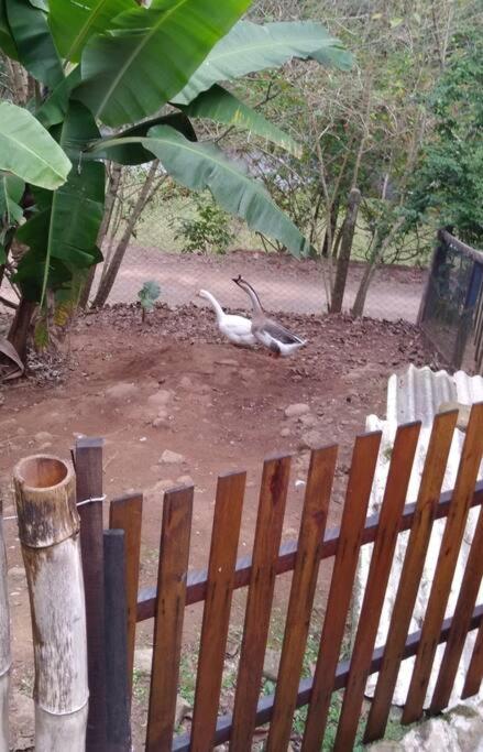 Sítio em área rural, ao pé da Serra Gaúcha.