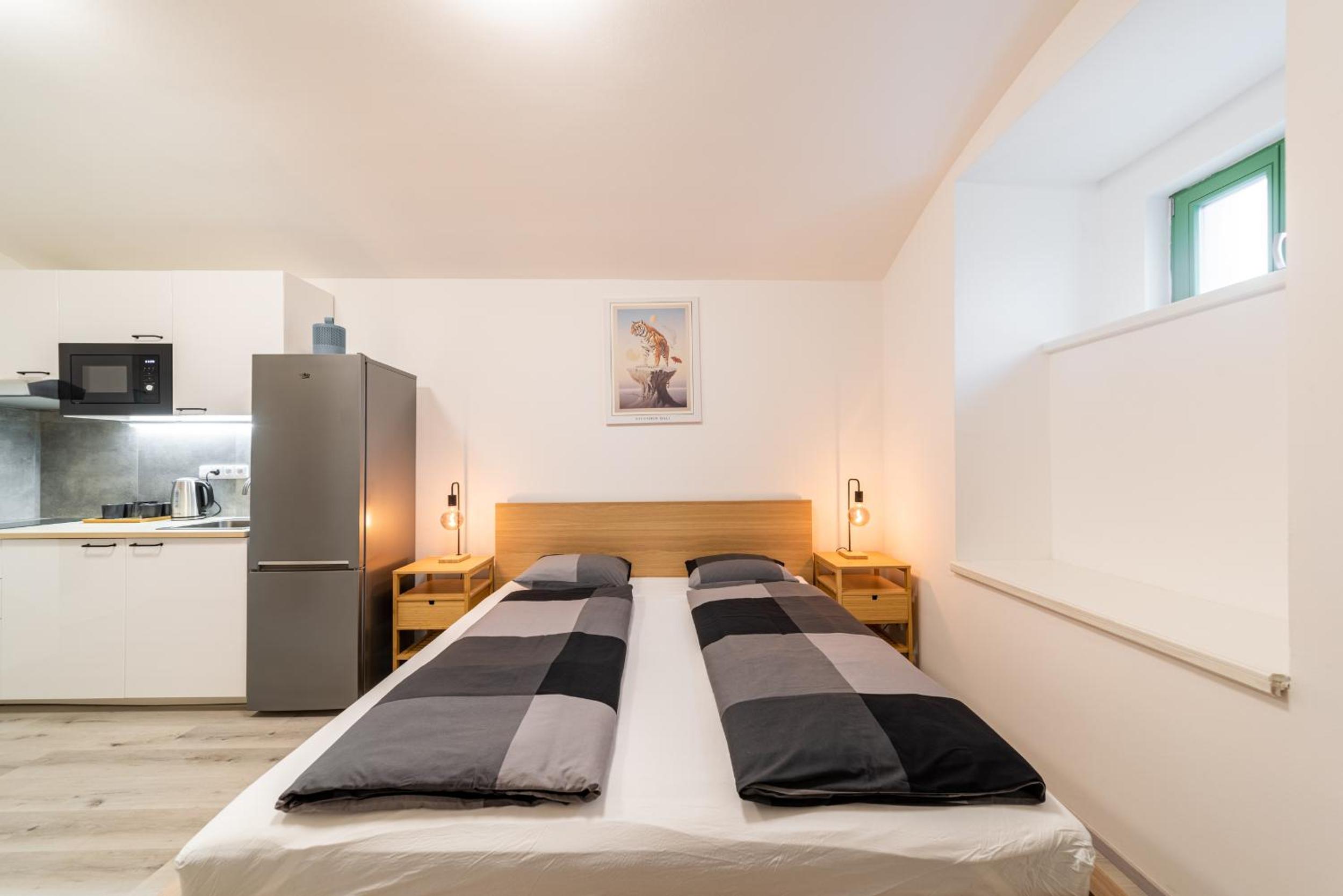 Apartments Borivojova 63