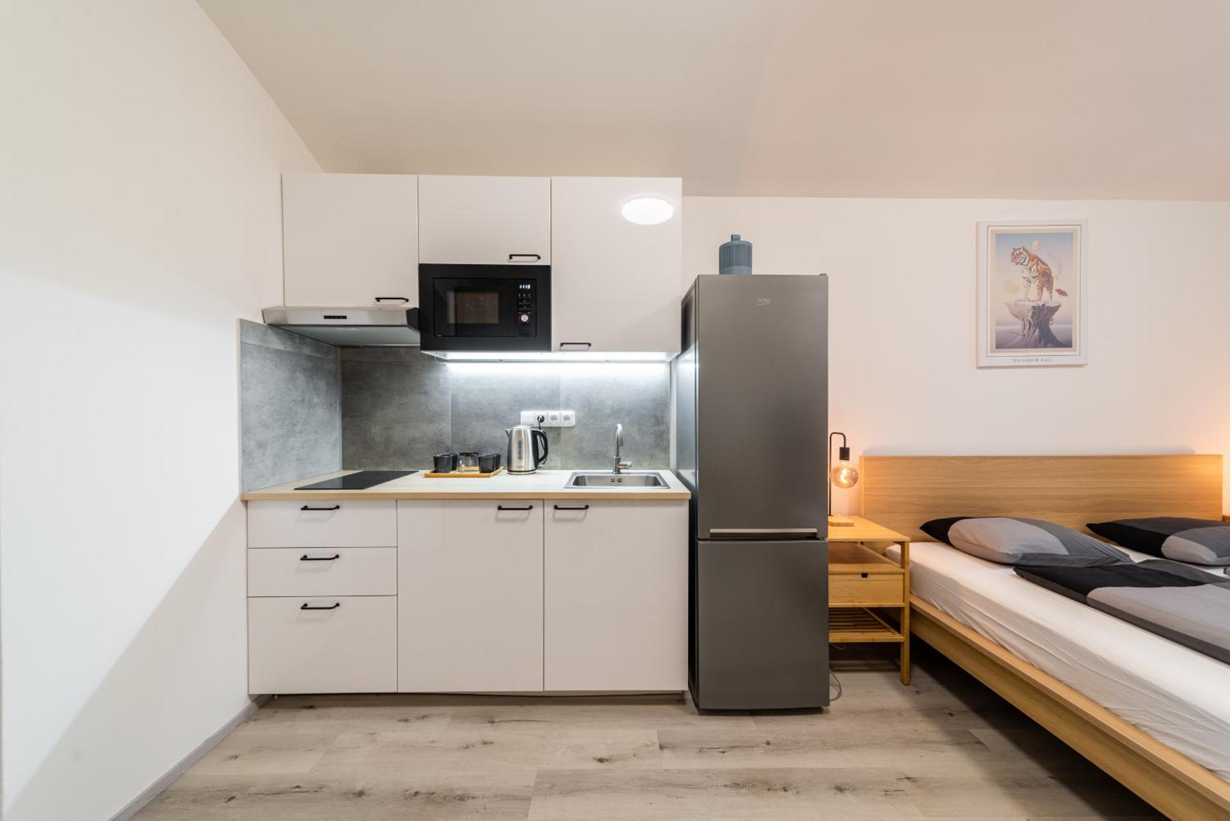 Apartments Borivojova 63