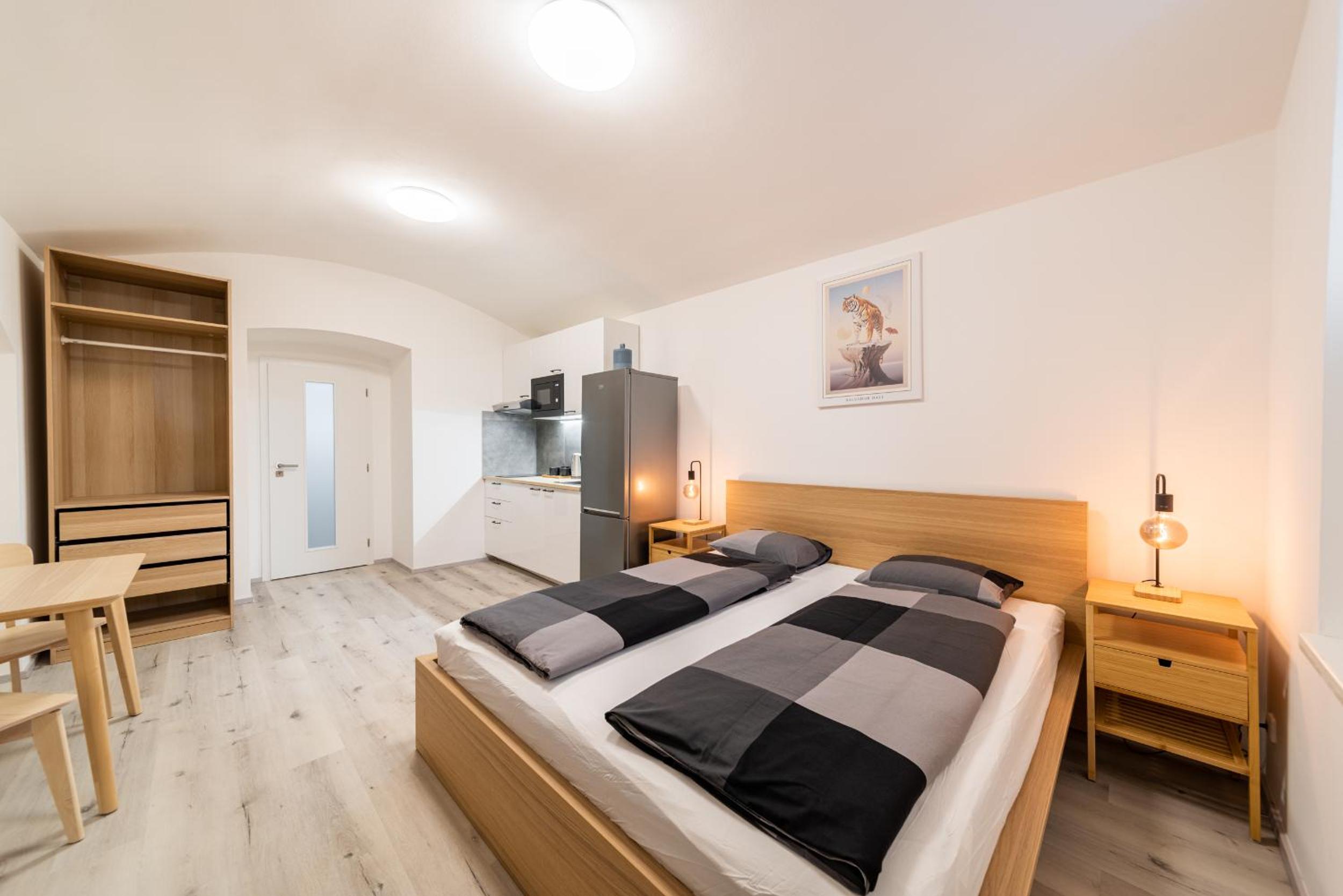 Apartments Borivojova 63