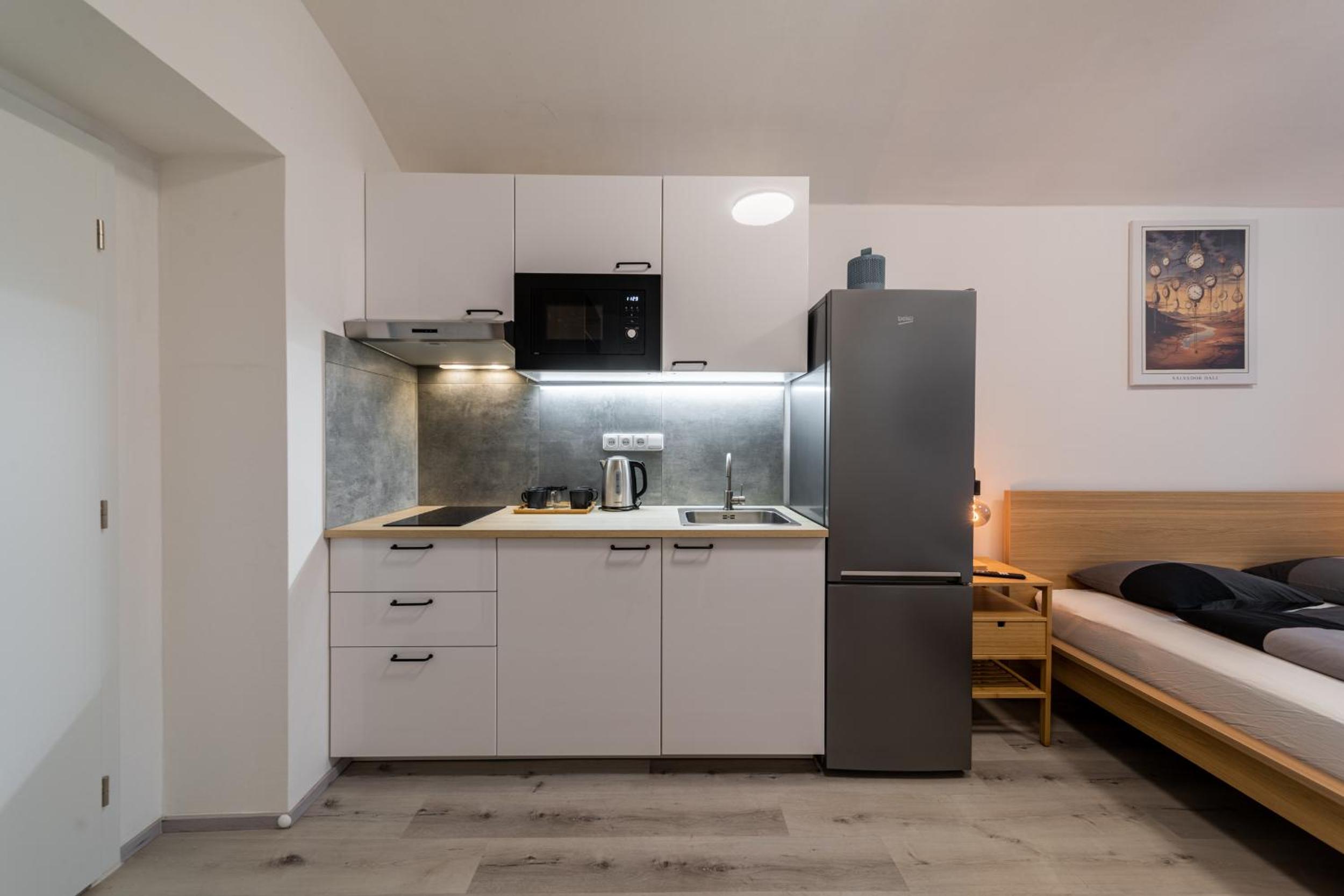 Apartments Borivojova 63