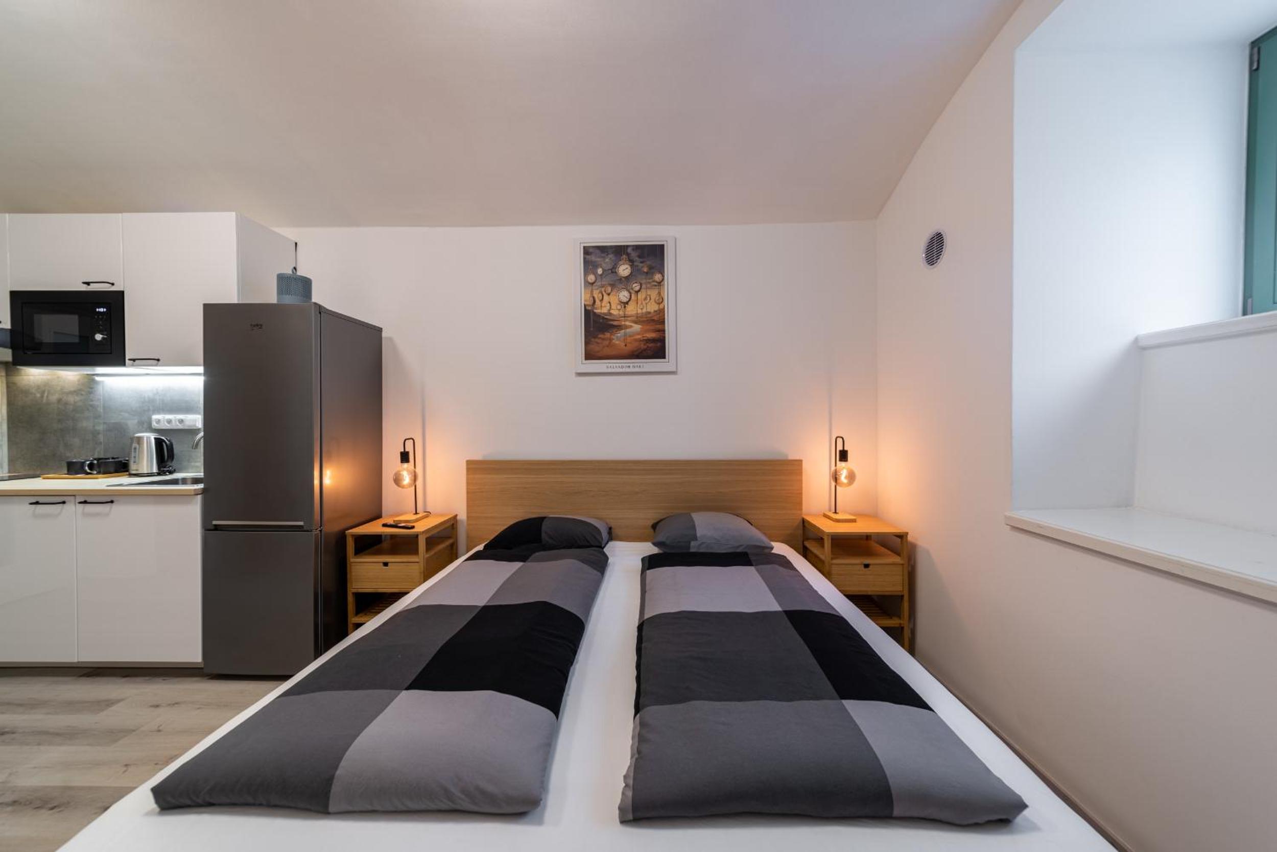 Apartments Borivojova 63