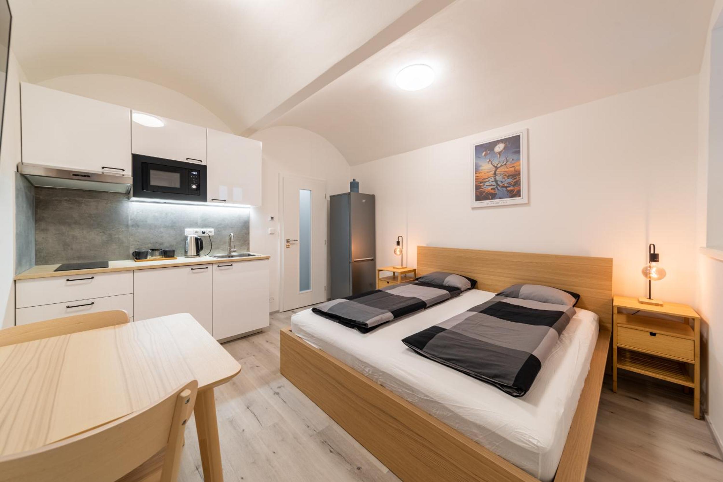 Apartments Borivojova 63