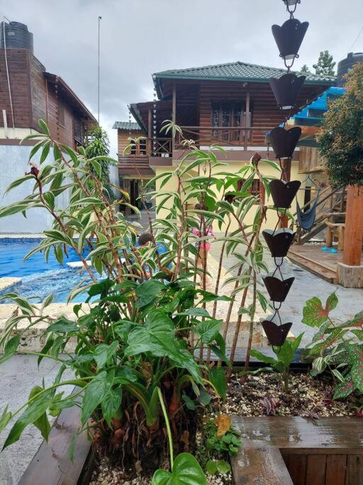 Photo 27