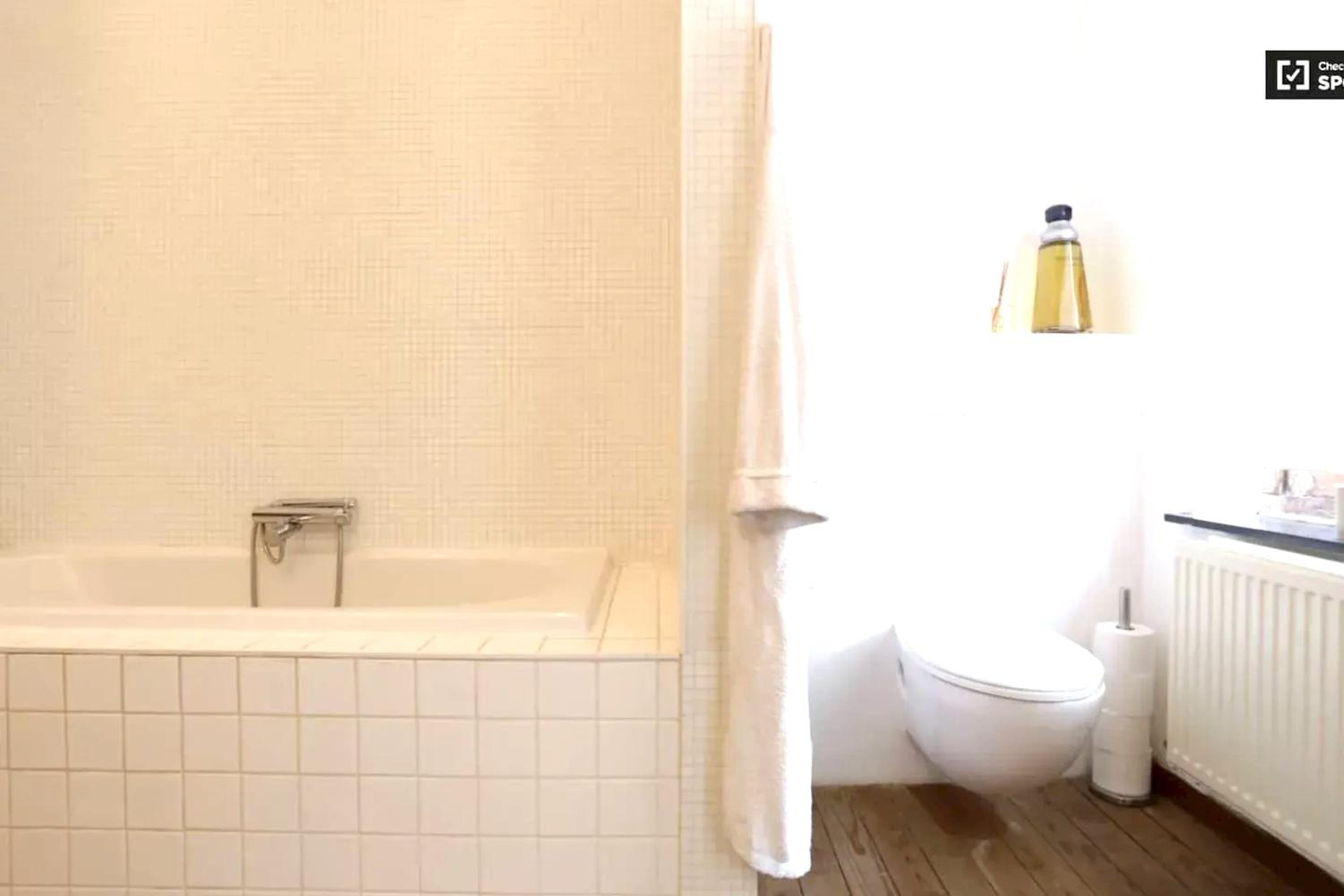 Spacious apartment in Brussels, large private garden