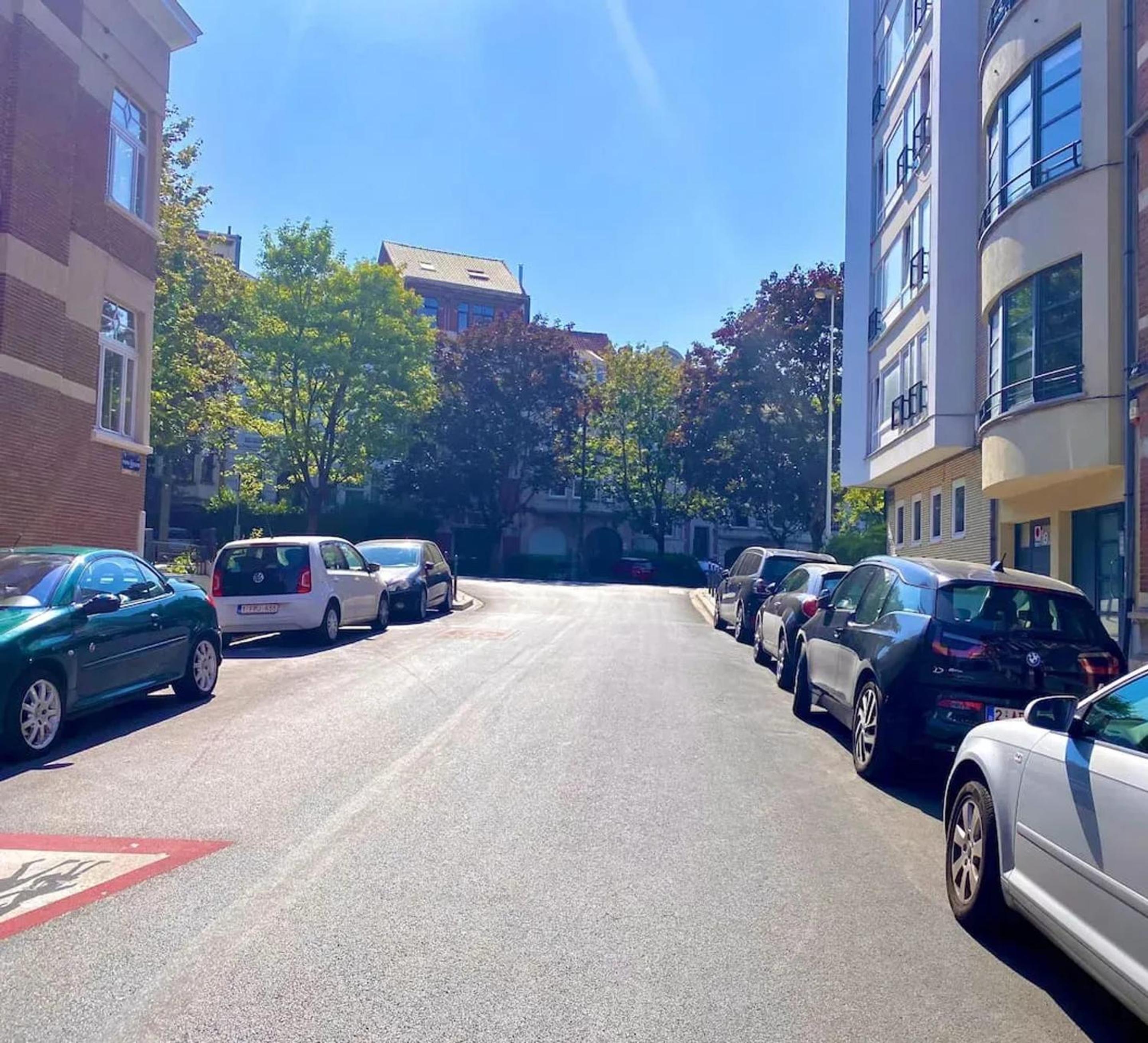 Spacious apartment in Brussels, large private garden