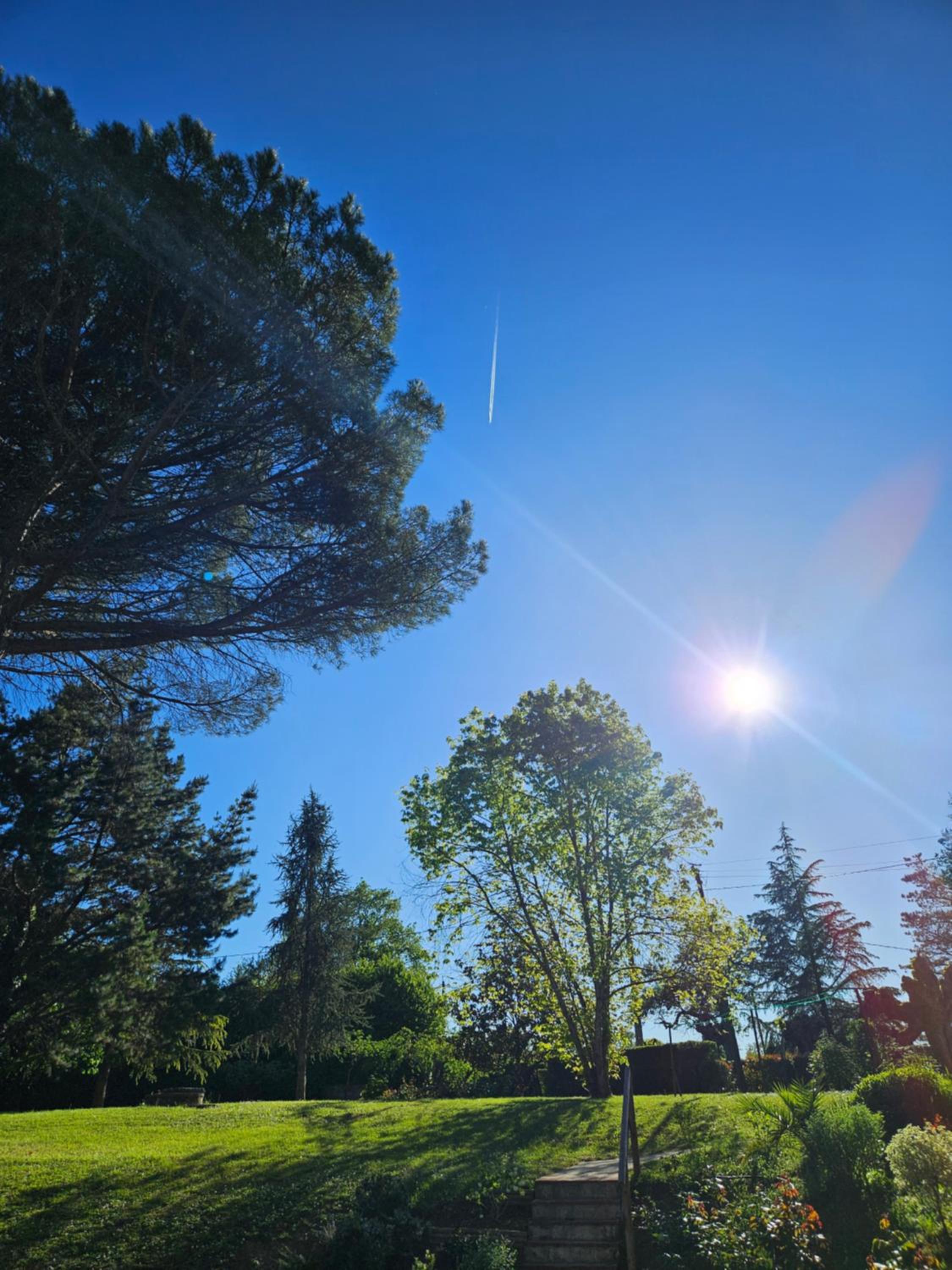 Domaine de Belcayre, photo 27