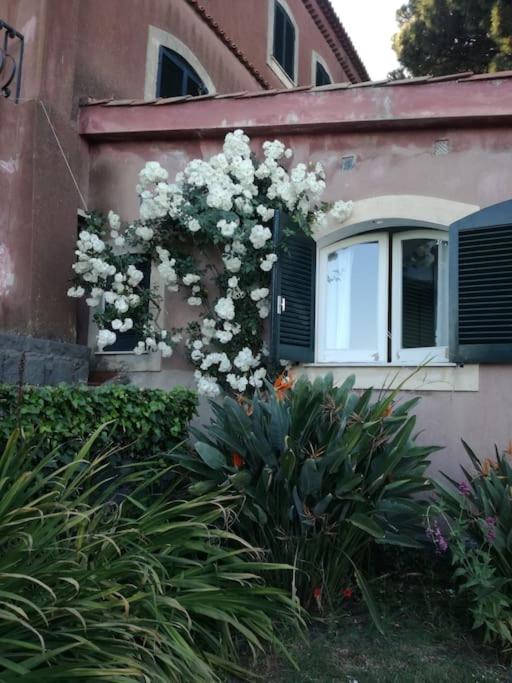 Uvatanta Cottage