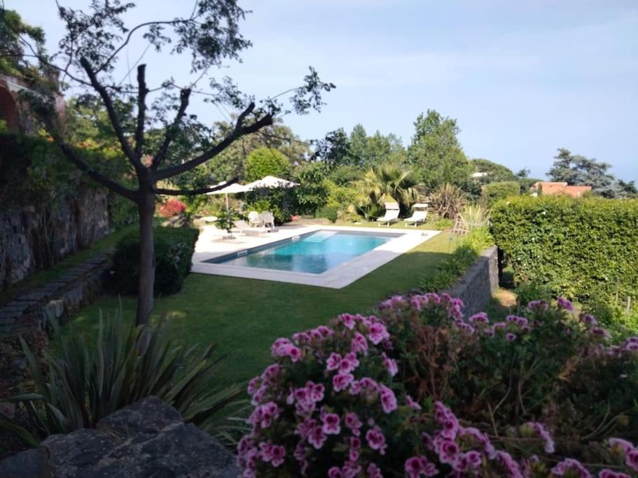 Uvatanta Cottage