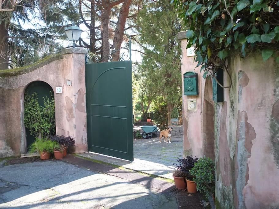 Uvatanta Cottage