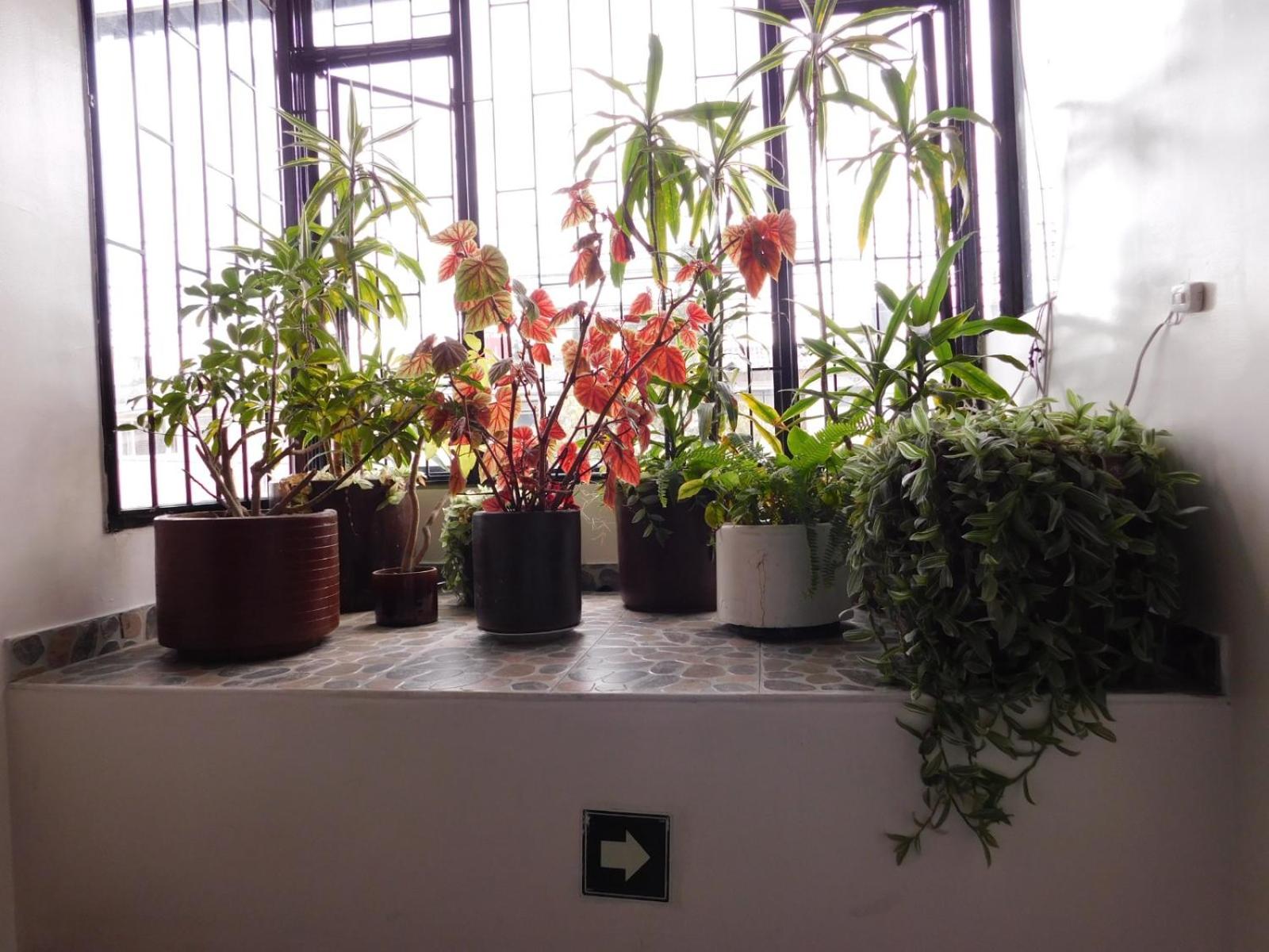 Hotel Casa Navi - Property Image 20