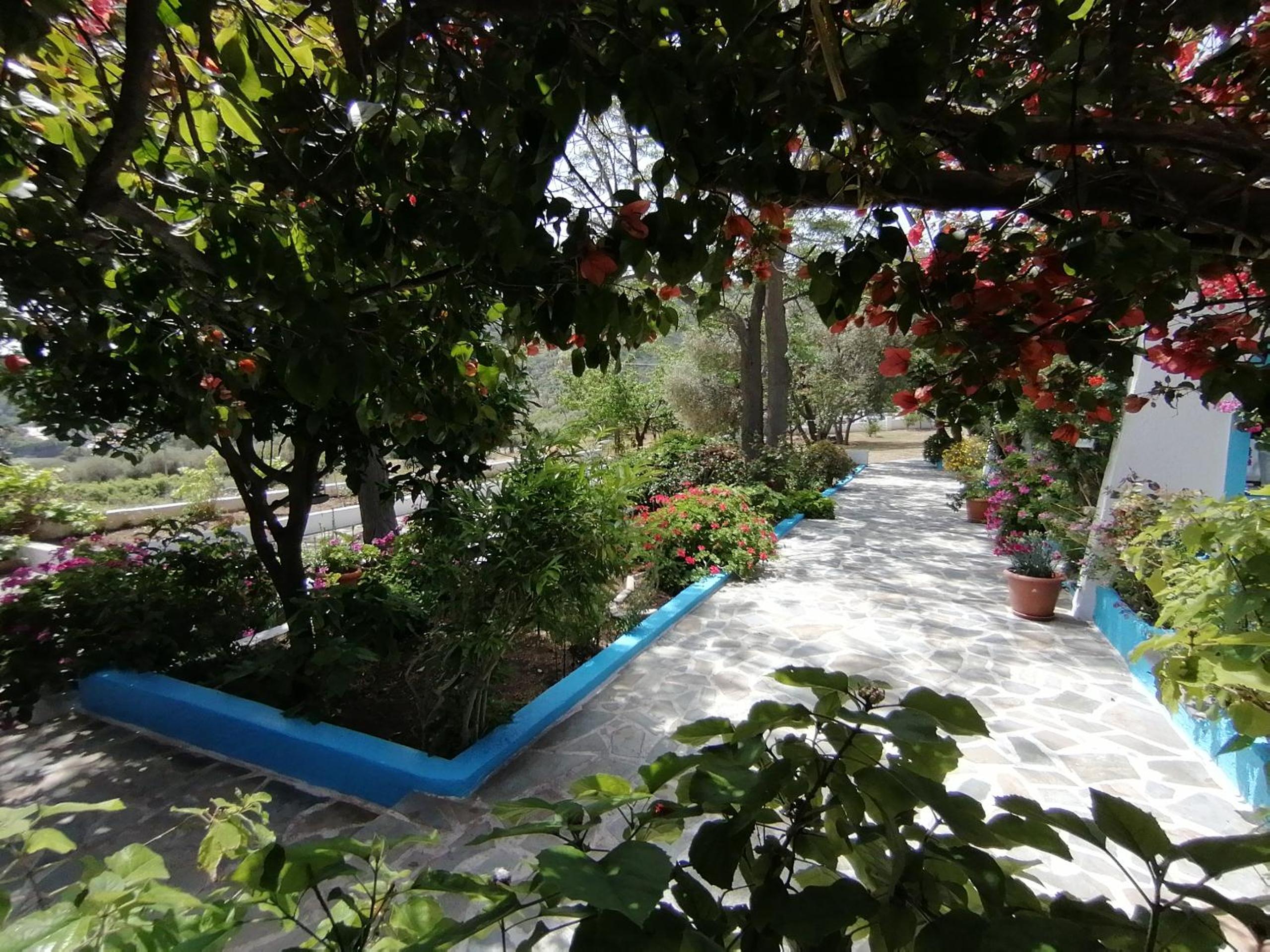 Studios Ioanna Limnionas Samos