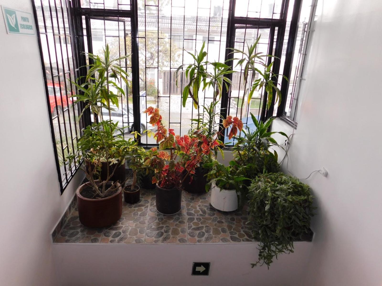 Hotel Casa Navi - Property Image 22