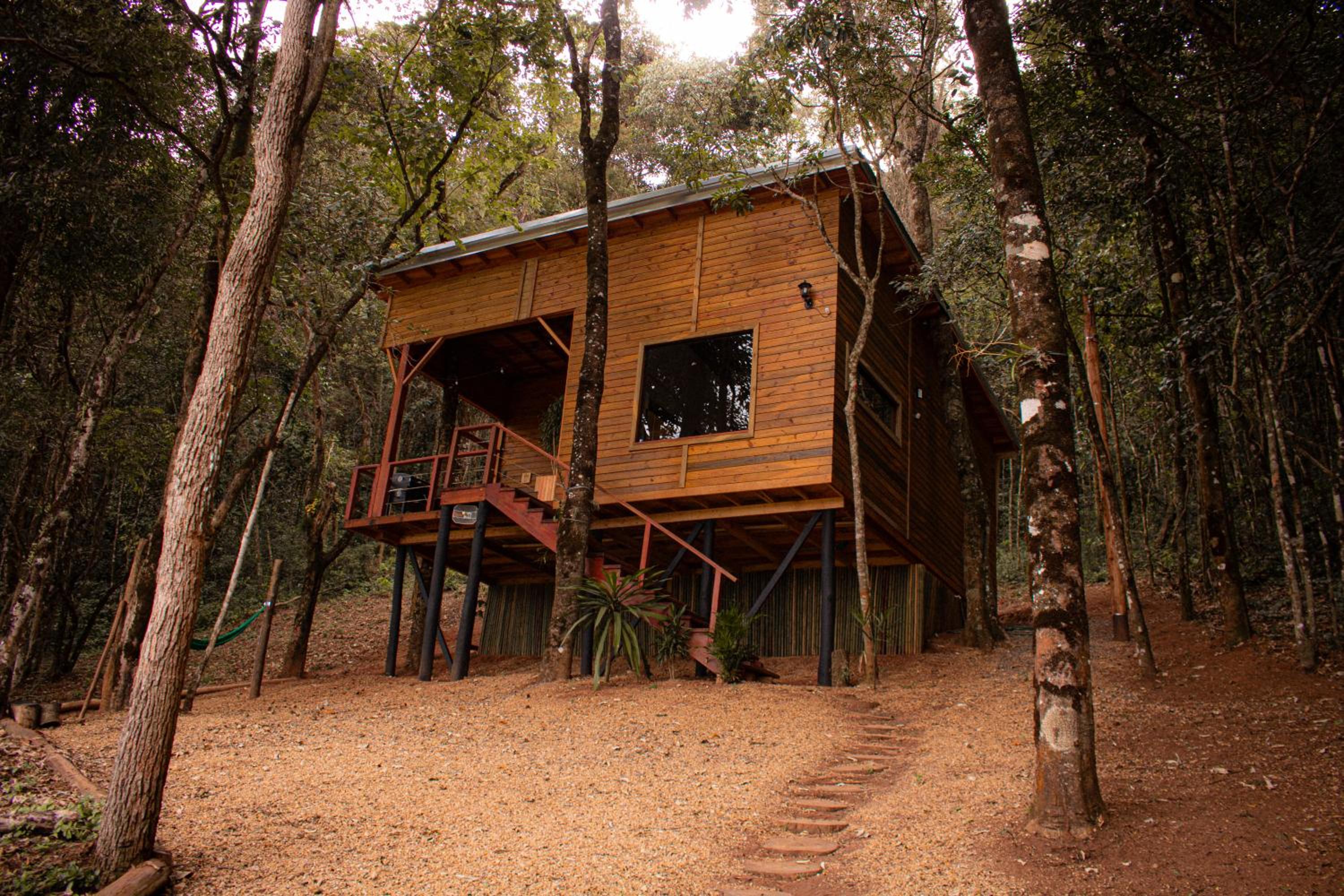 Casa da Árvore - Olivais Santa Clara