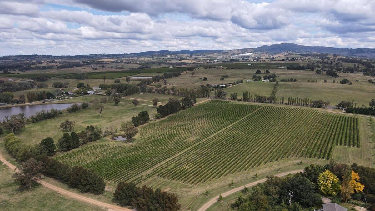 Loft House - On Heifer Station Vineyard