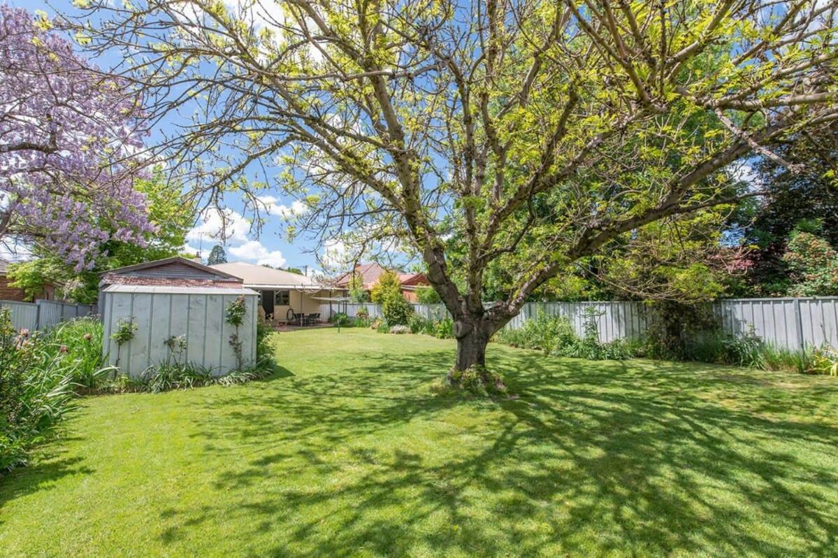 Rose Hill on Hamer, 1940s Charming Cottage near Cook Park view 5