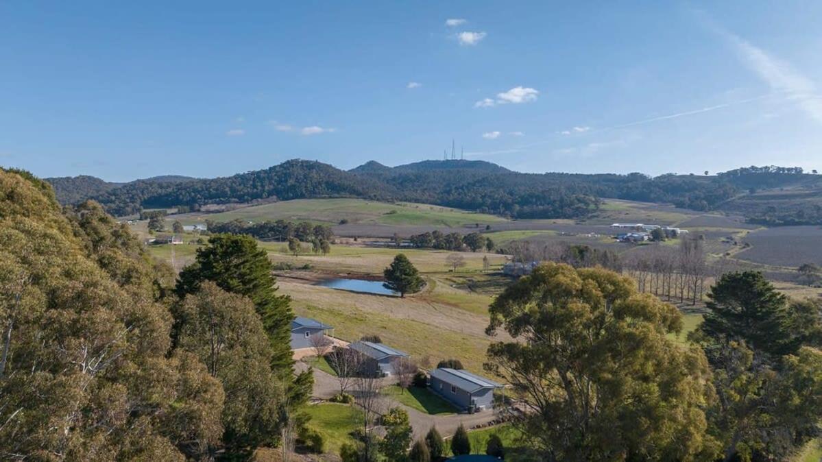 Towac Cabin 1- Scenic Escape, Picturesque Views