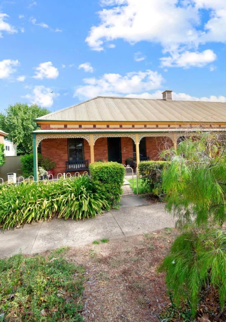 Tompson - Lush Garden, Outdoor Pets