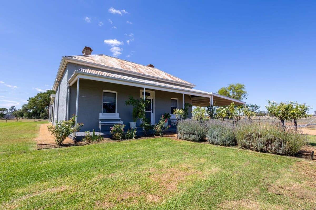 Boothenba Cottage - Heritage Farm Stay, Firepit