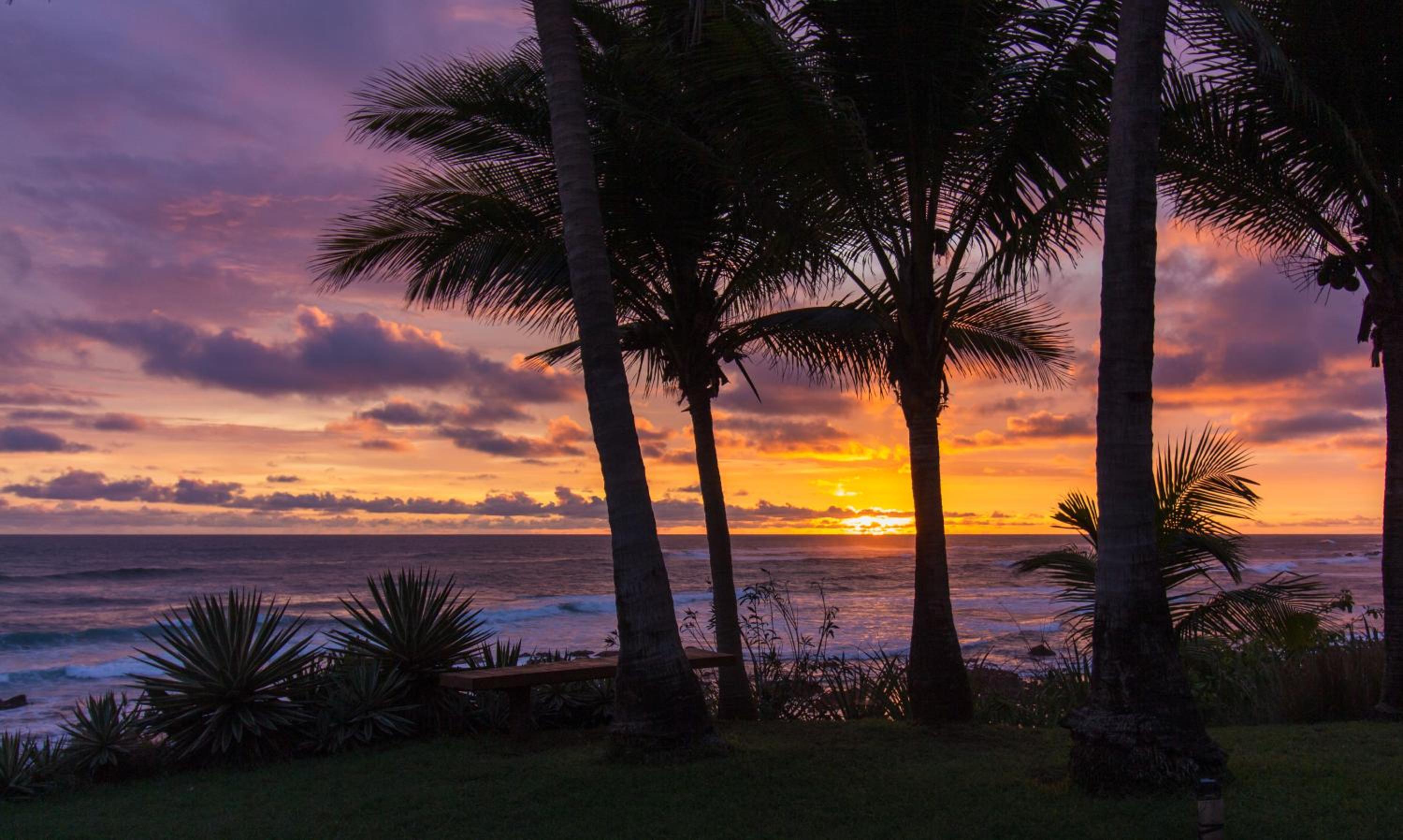 Dream On Costa Rica