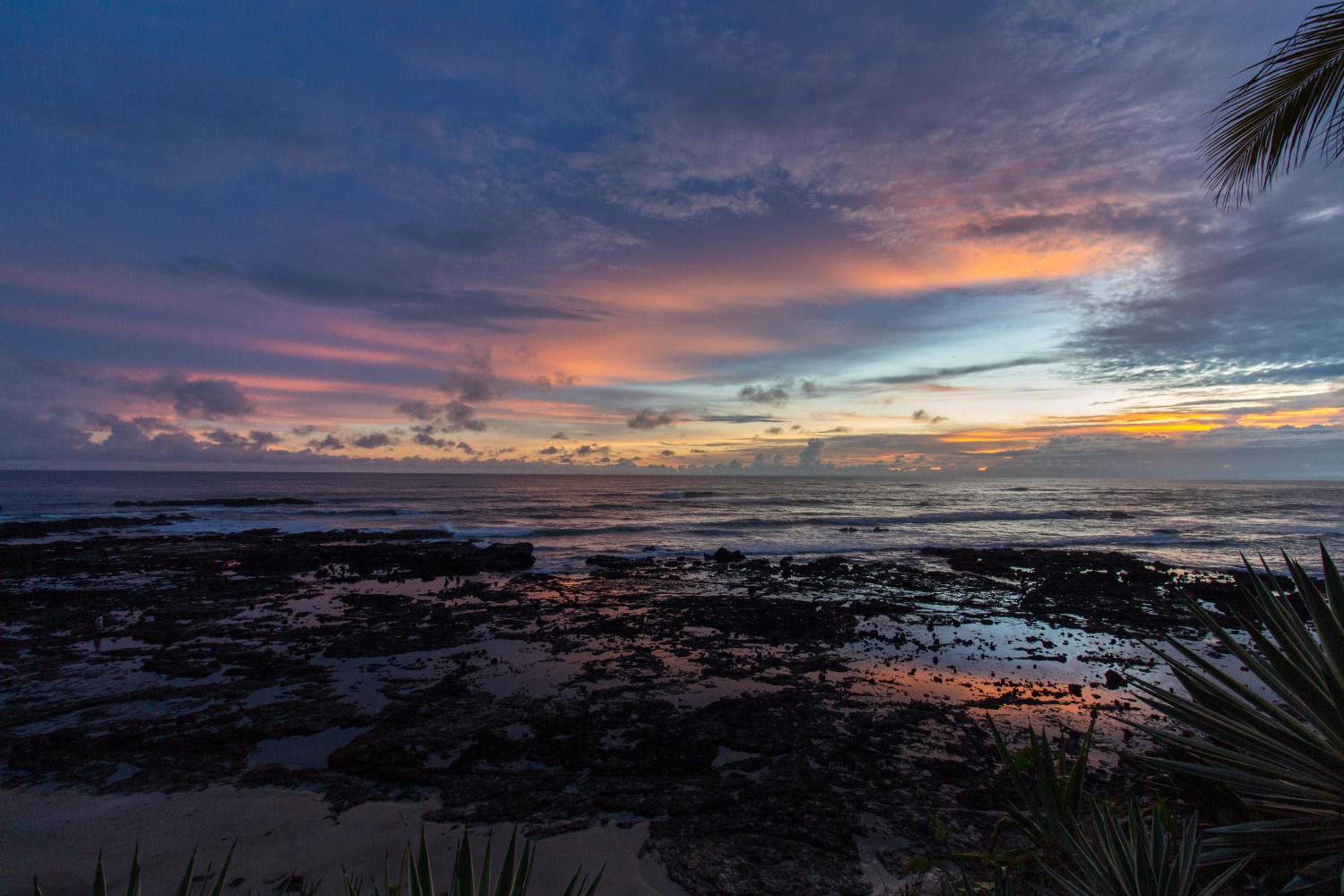 Dream On Costa Rica
