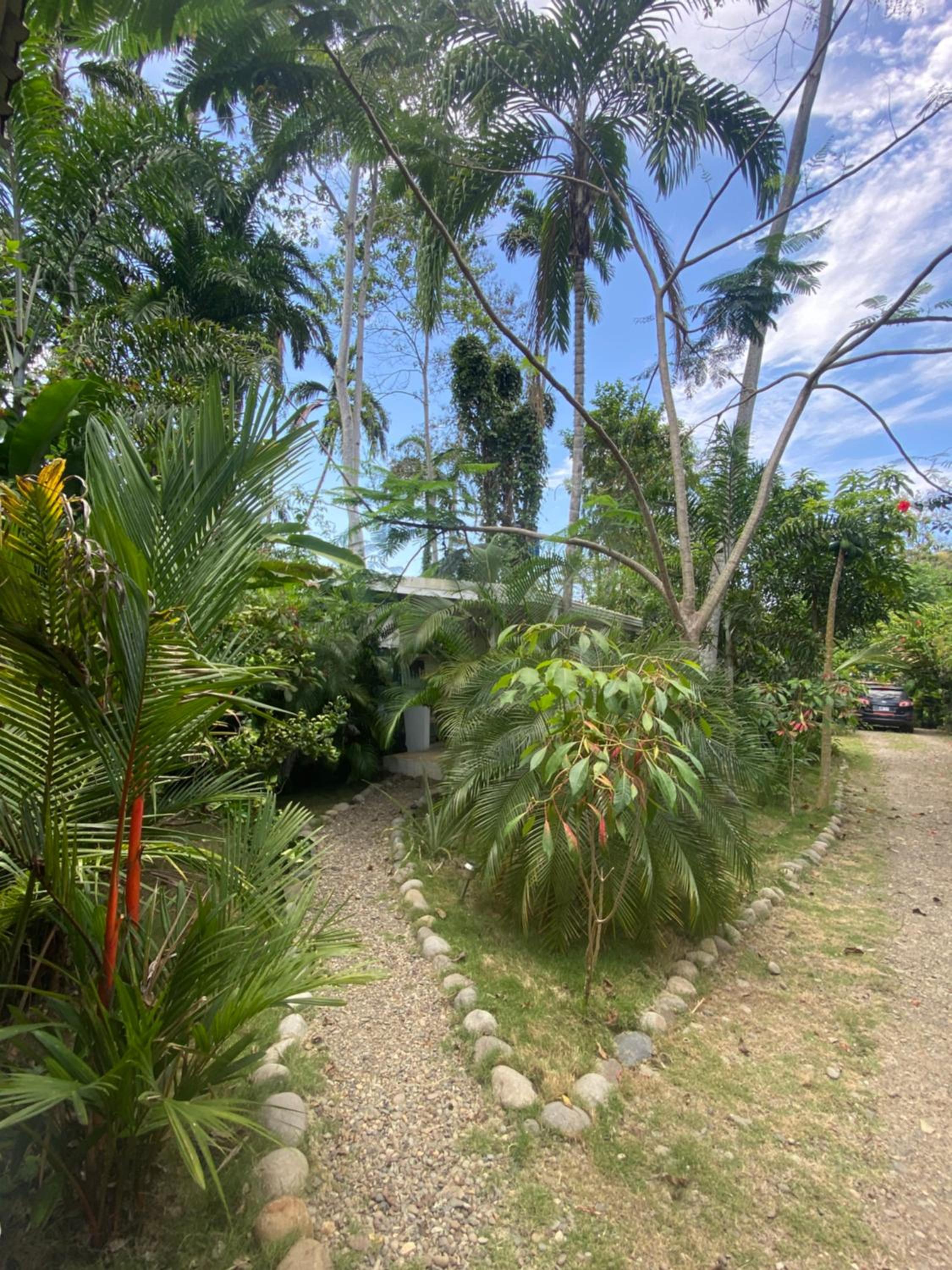 Jungle apartment with bathtub and outdoor shower
