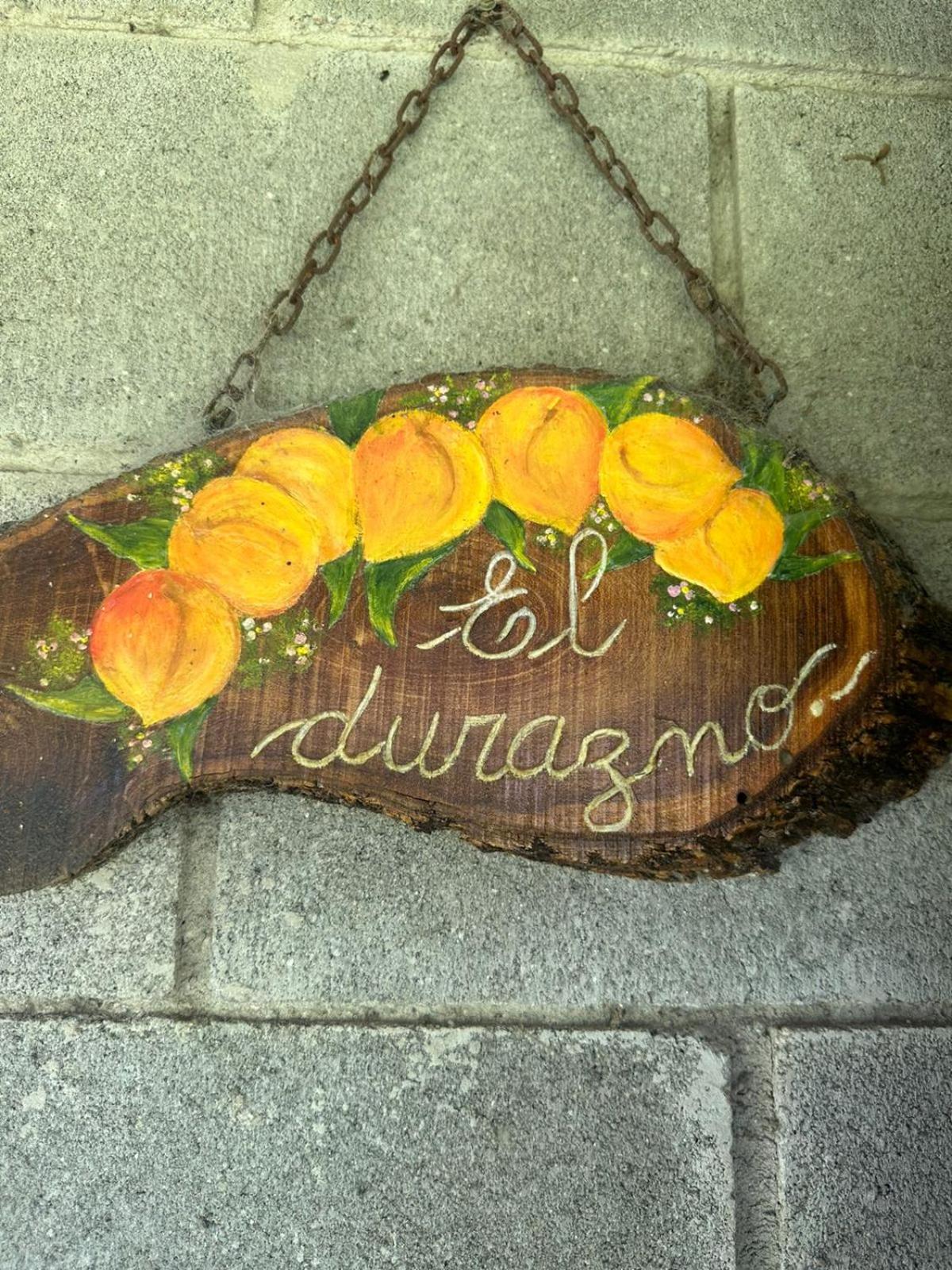 Cabañas Los Frutales