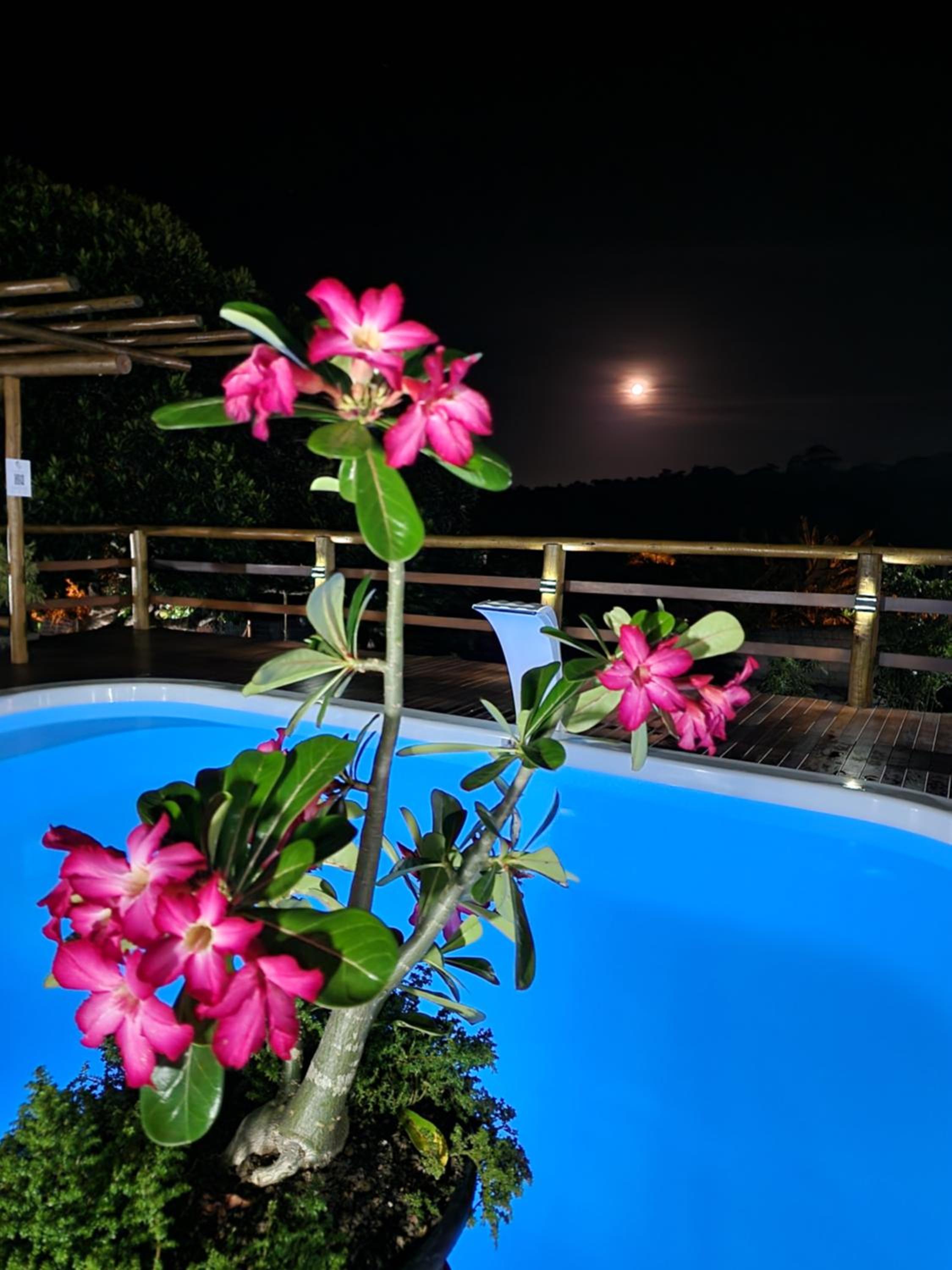 Pousada Canto do Sabiá