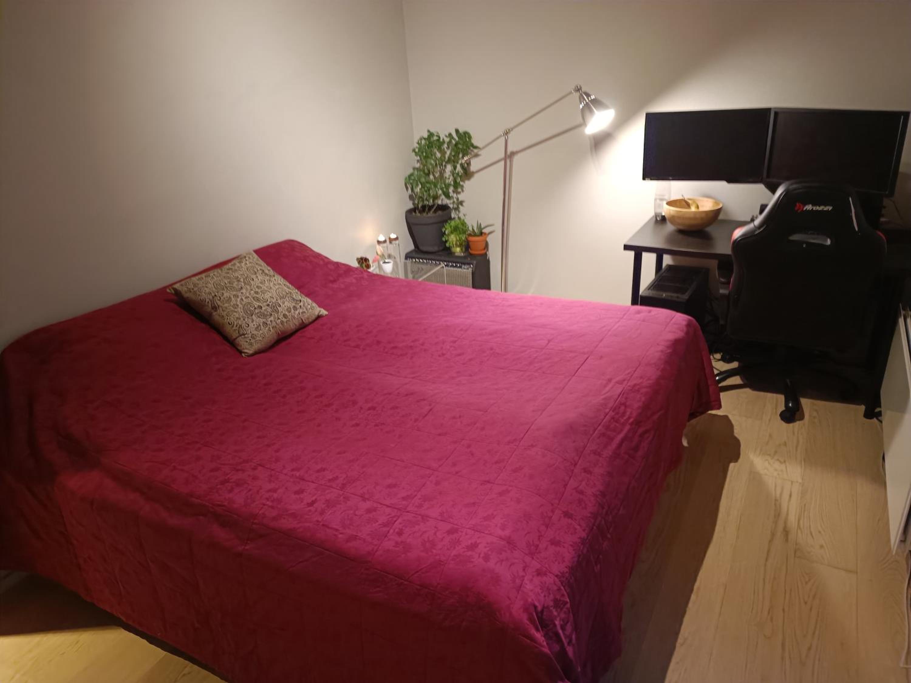 Photo 9