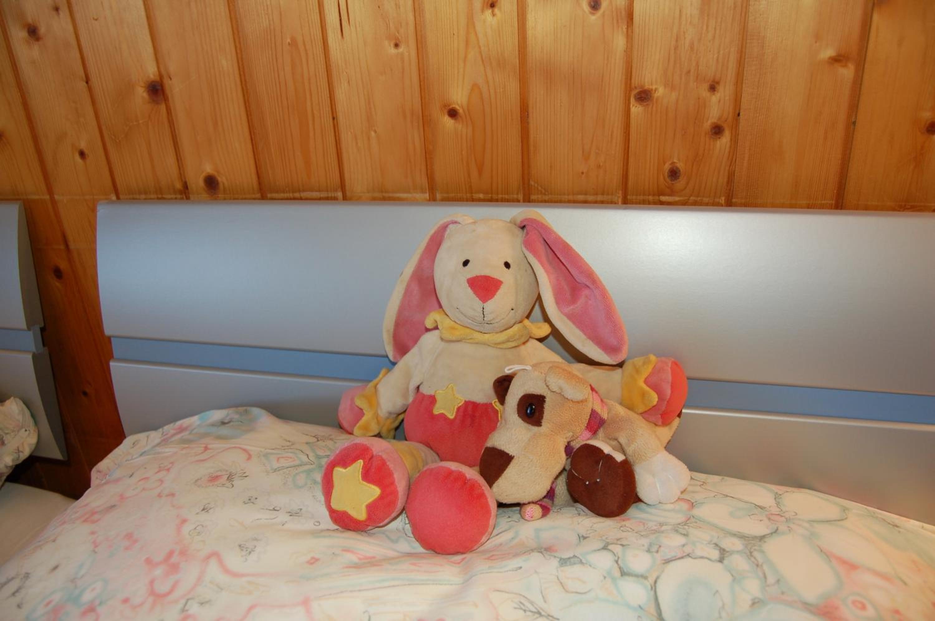 Photo 43