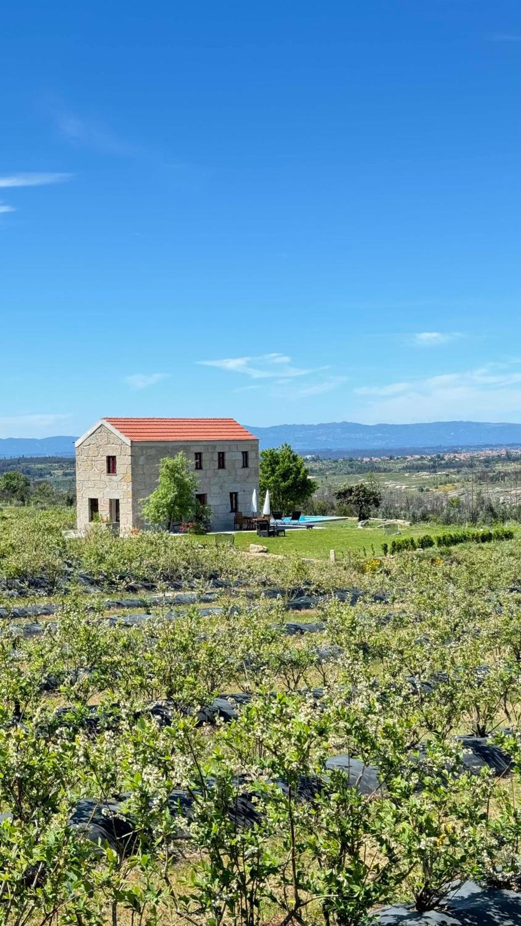 Quinta da Cumieira Nova view 2