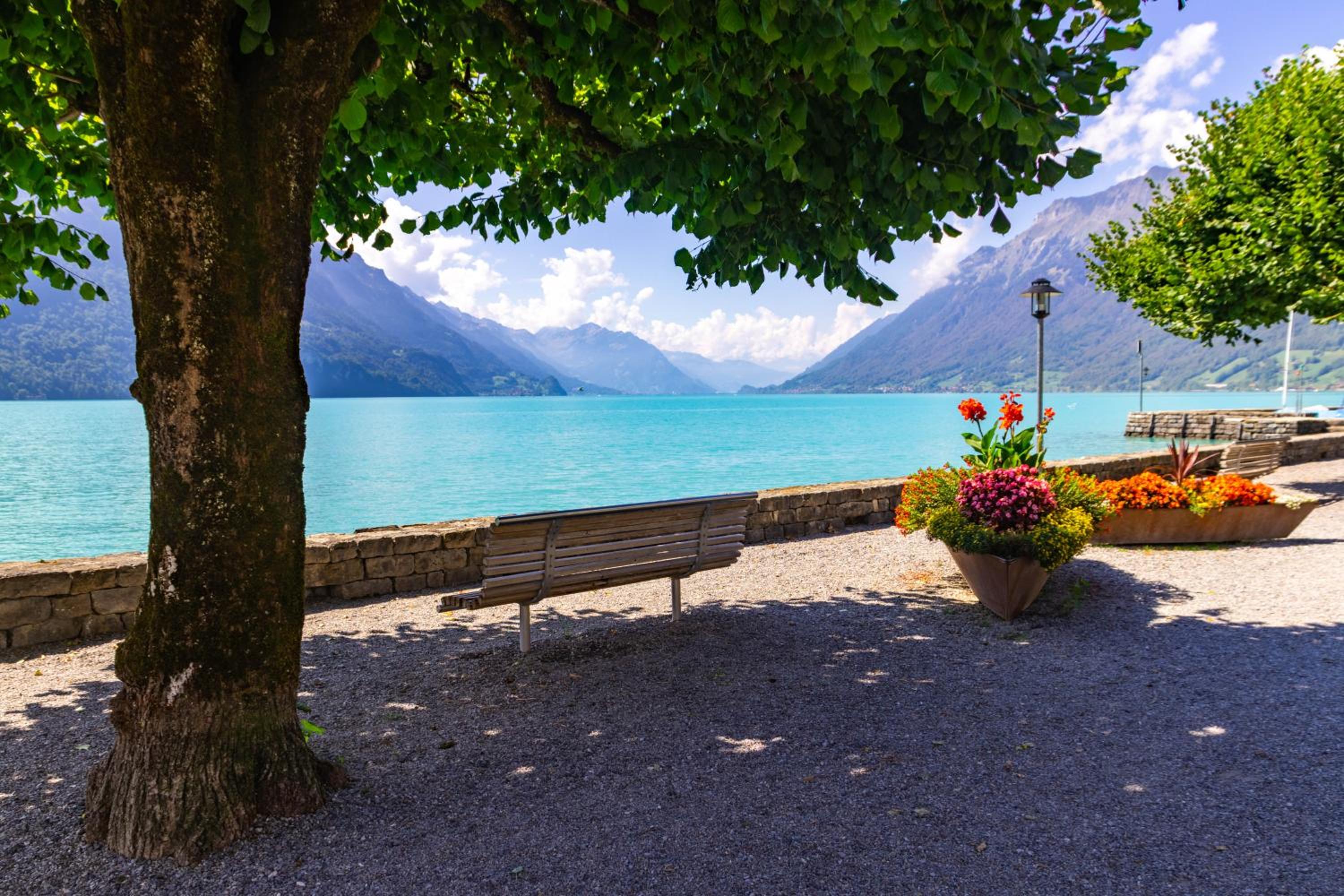 StayBrienz - Lake Brienz Family Holiday Apartment